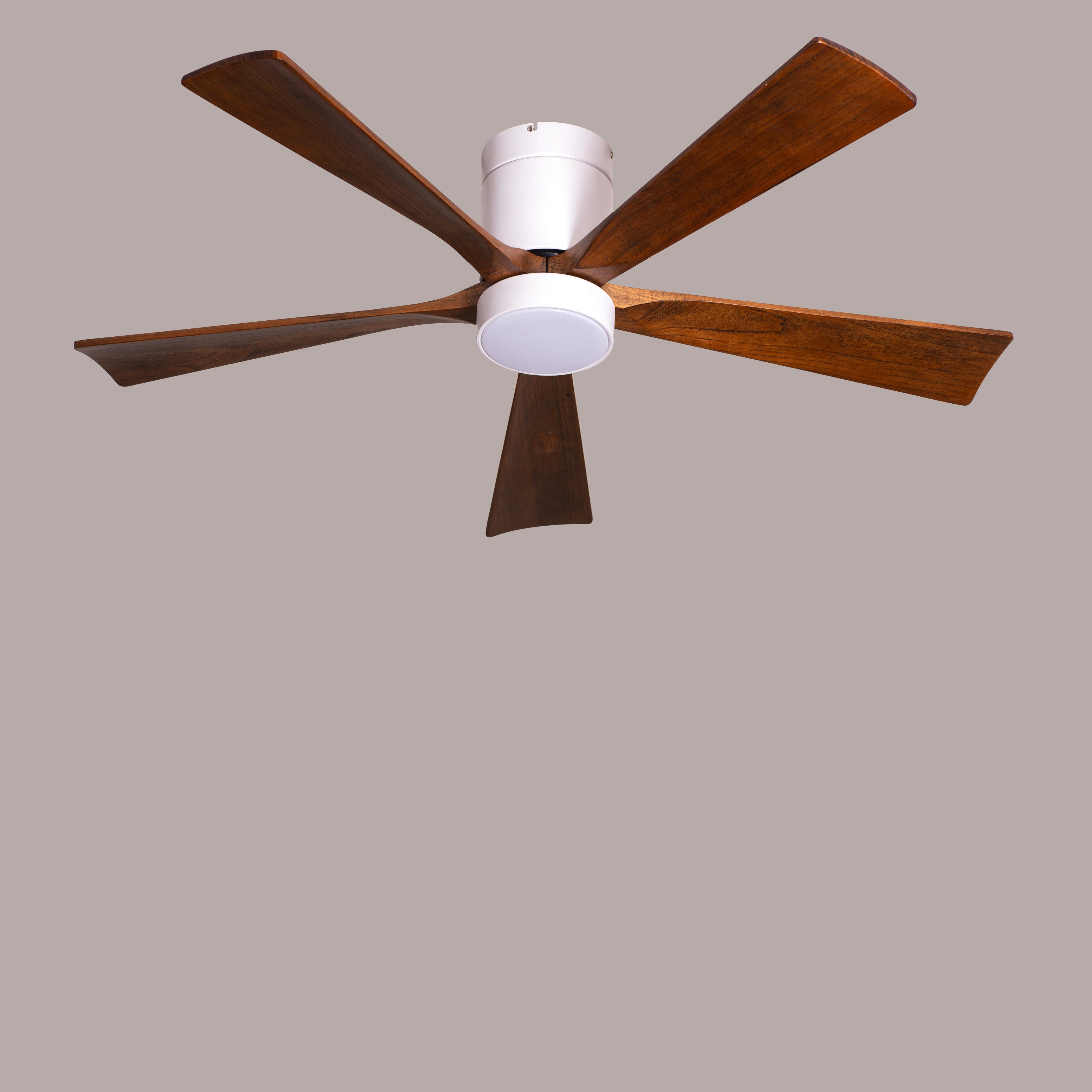 Peru Perfect (130 cm Span, White Finish Metal Body with Wooden Blades in Walnut Finish) 3 Color LED With Remote Control Ceiling Fan