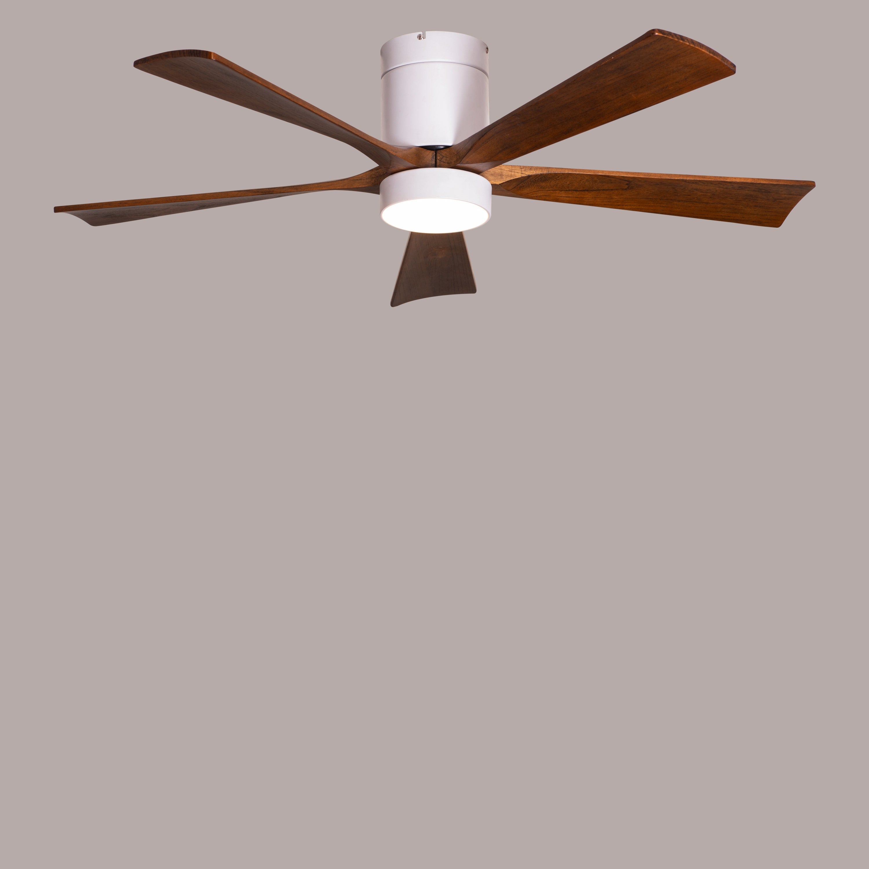 Peru Perfect (130 cm Span, White Finish Metal Body with Wooden Blades in Walnut Finish) 3 Color LED With Remote Control Ceiling Fan