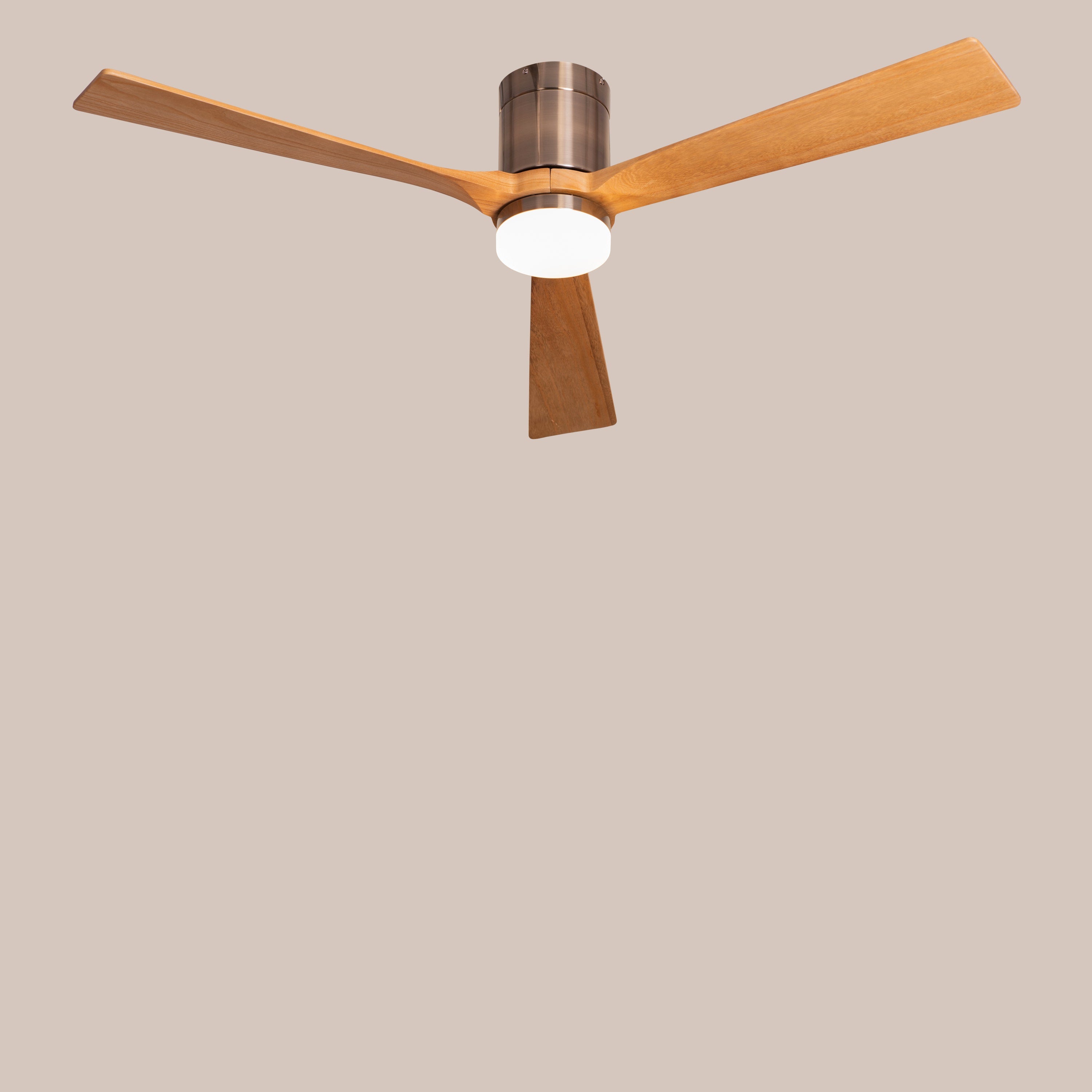 Breakfast In Belgrade (152 cm Span, Metal Body in Chrome Finish, Maple Finish Solid Wood Blades) 3 Color LED With Remote Control Ceiling Fan