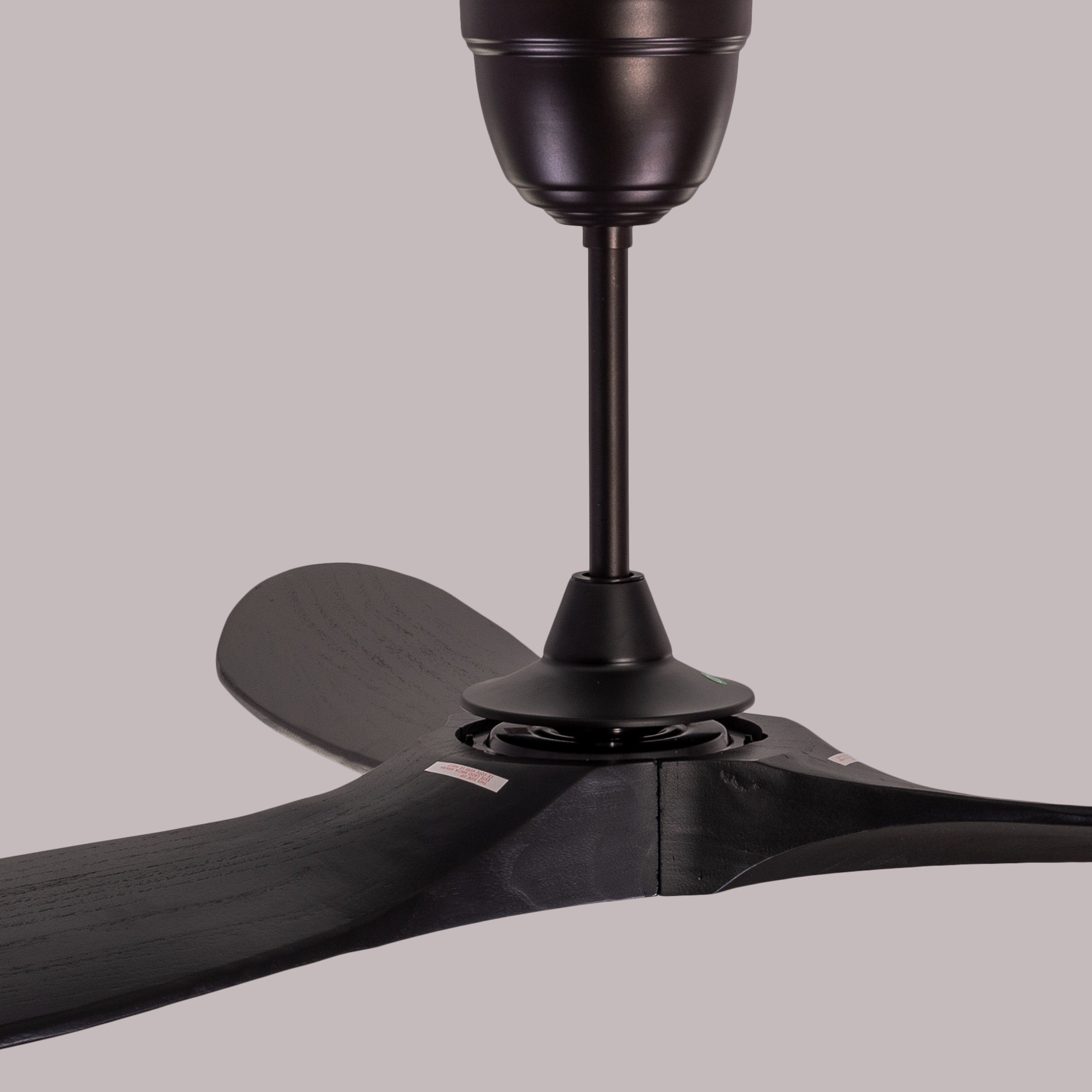 Devil's Advocate (132 cm Span, Black Metal Body, Black Finish Solid Wood) Designer Ceiling Fan