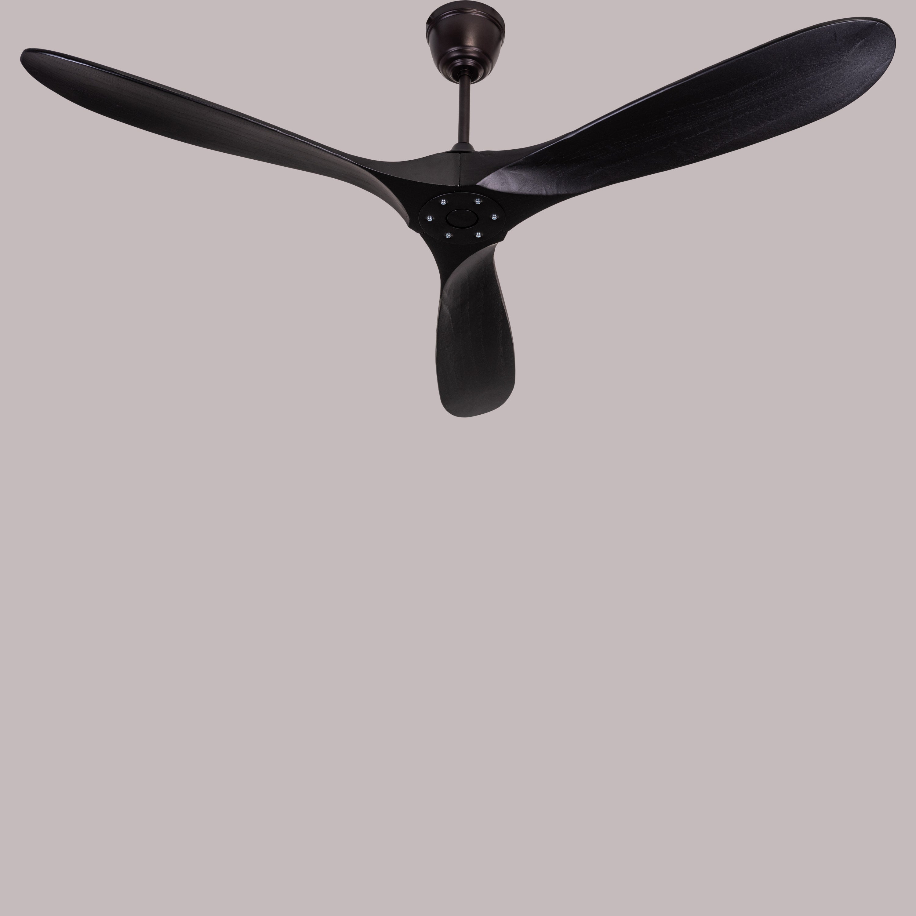 Devil's Advocate (132 cm Span, Black Metal Body, Black Finish Solid Wood) Designer Ceiling Fan