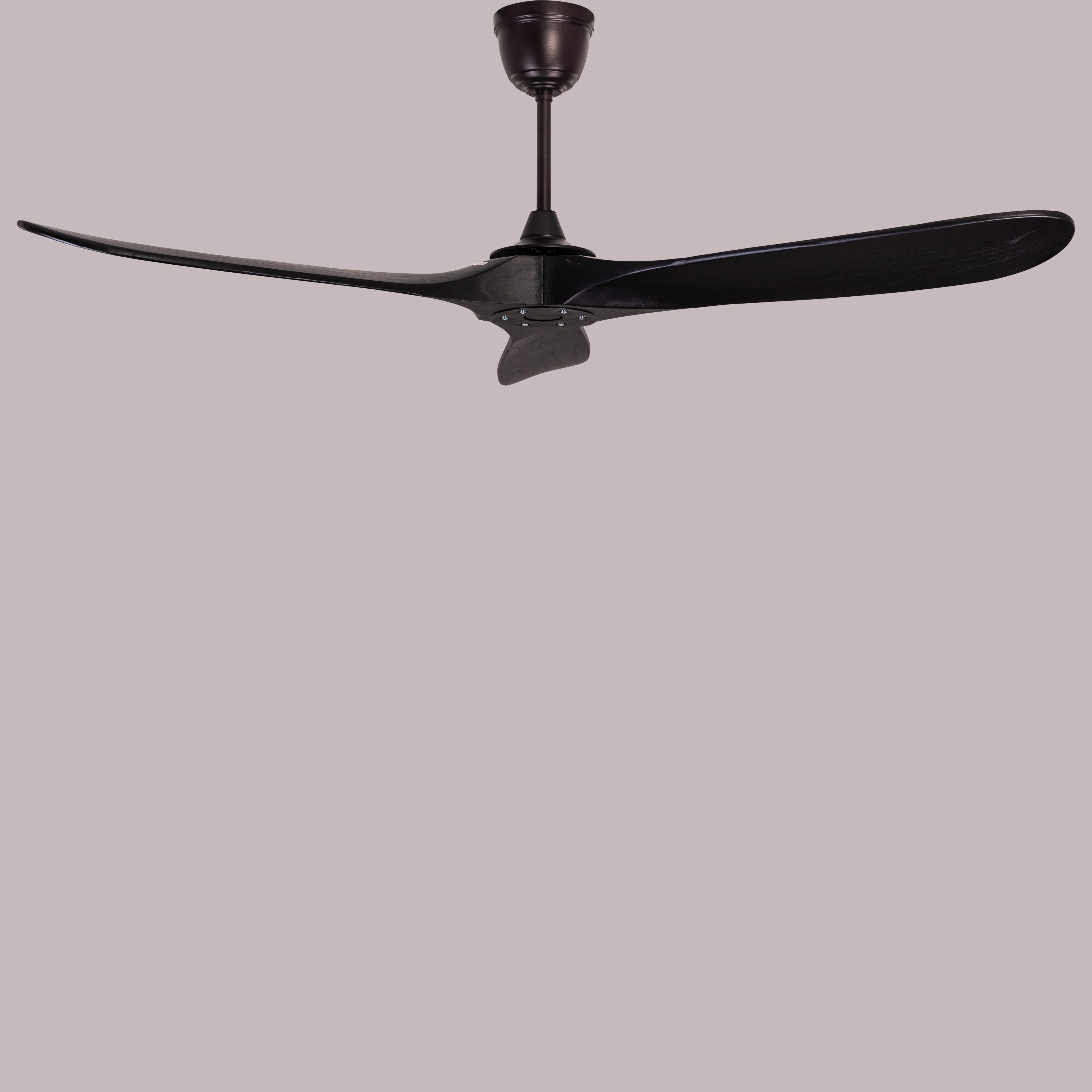 Devil's Advocate (132 cm Span, Black Metal Body, Black Finish Solid Wood) Designer Ceiling Fan