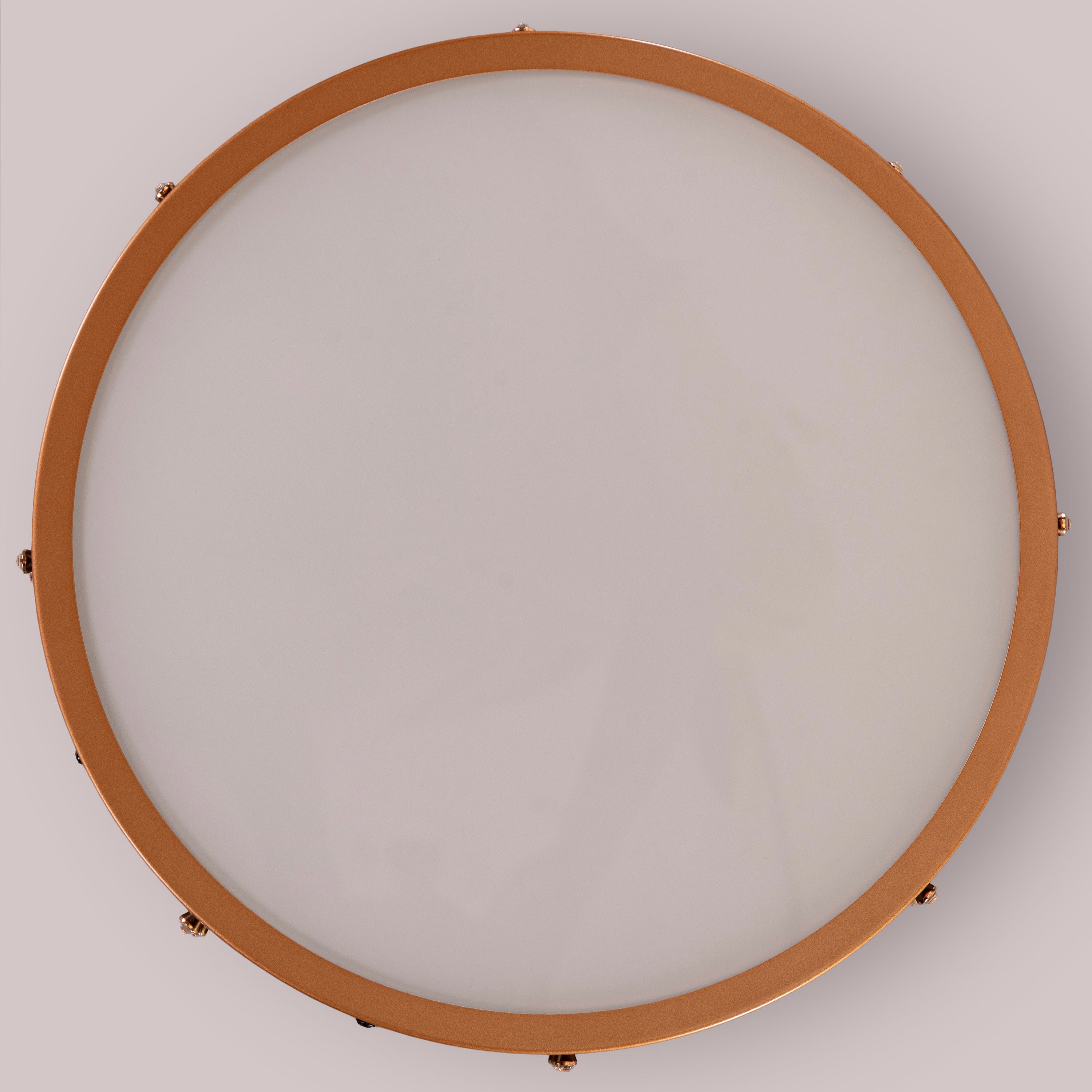 The Rivet Monogram Ceiling light