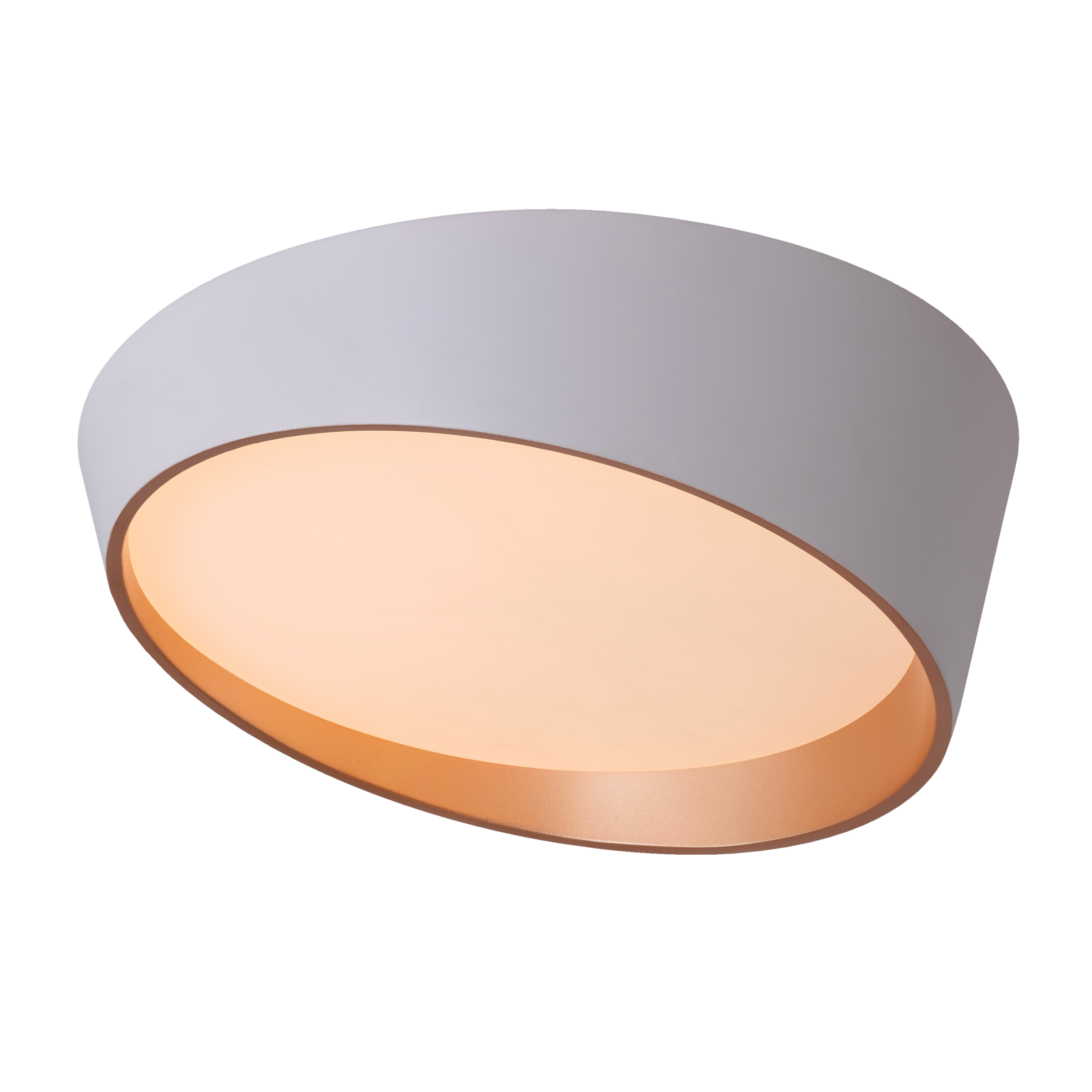 Hidden Ace (White) Ceiling Light