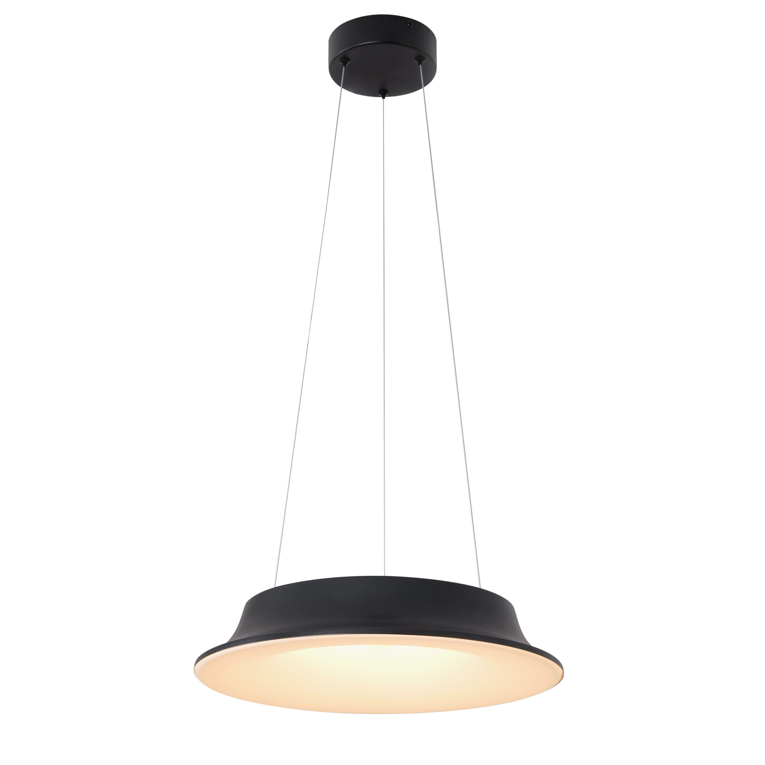 Home Grown Glow (Black) Pendant Light