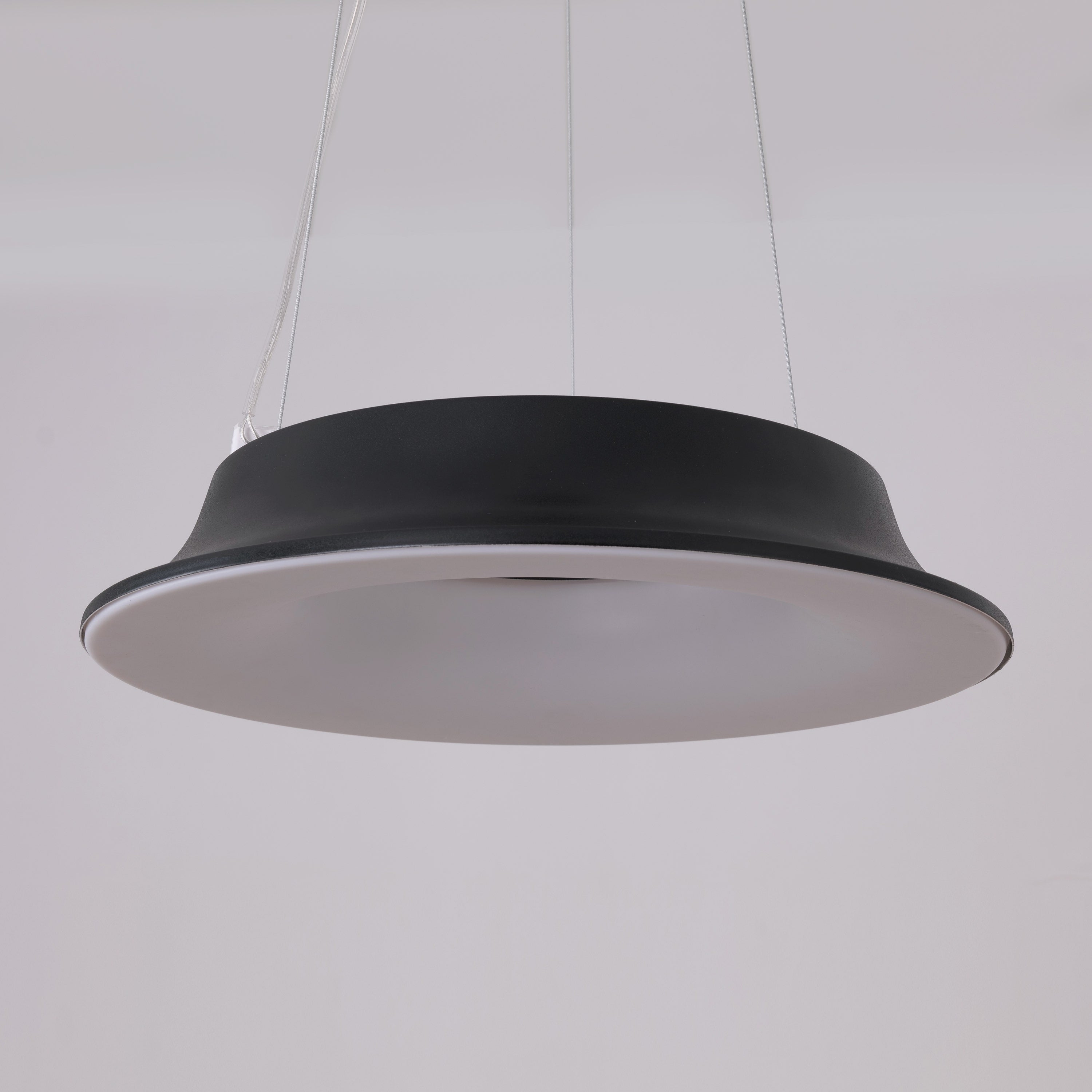 Home Grown Glow (Black) Pendant Light