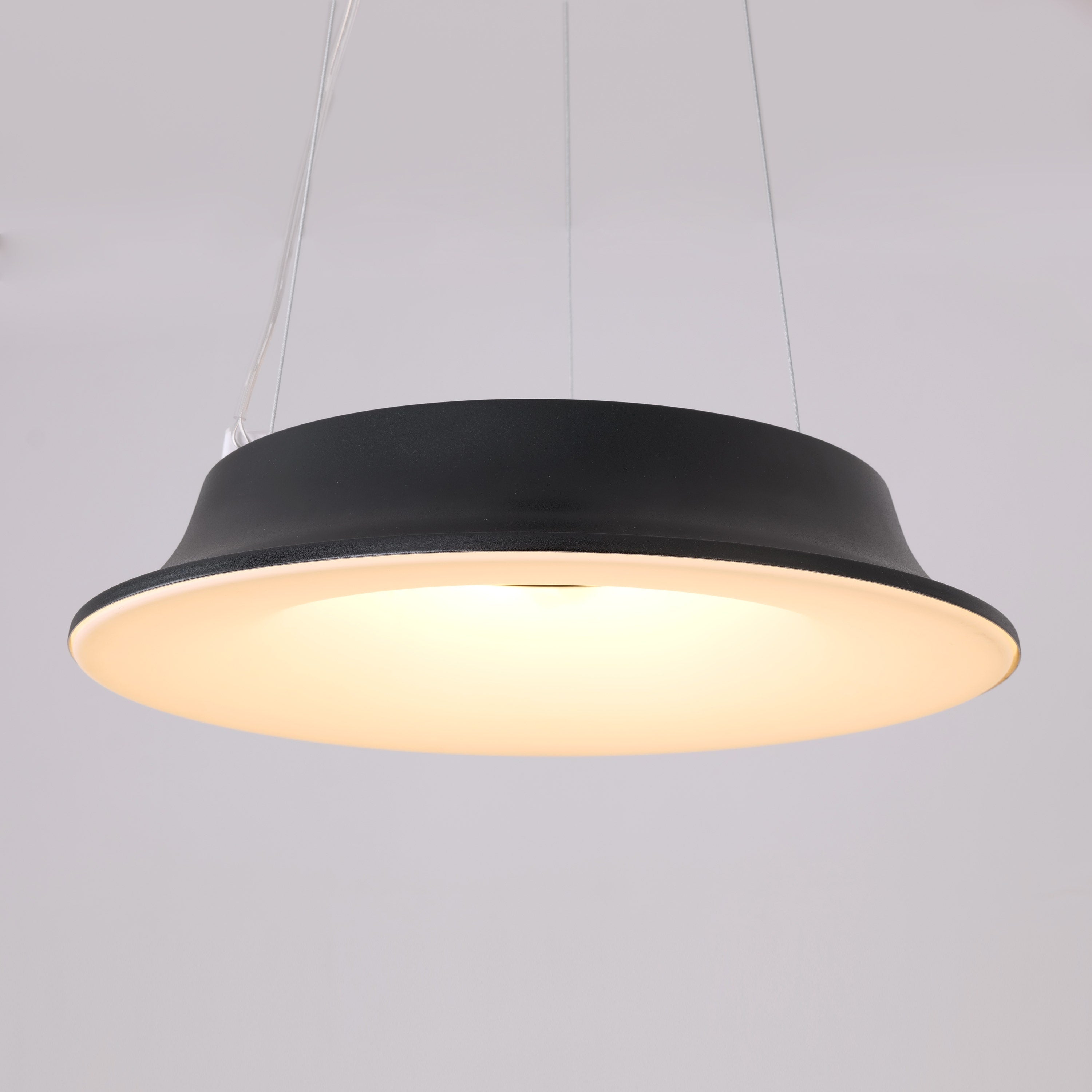 Home Grown Glow (Black) Pendant Light