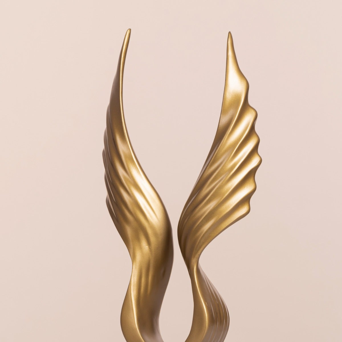 Fashion Focus Home Decor