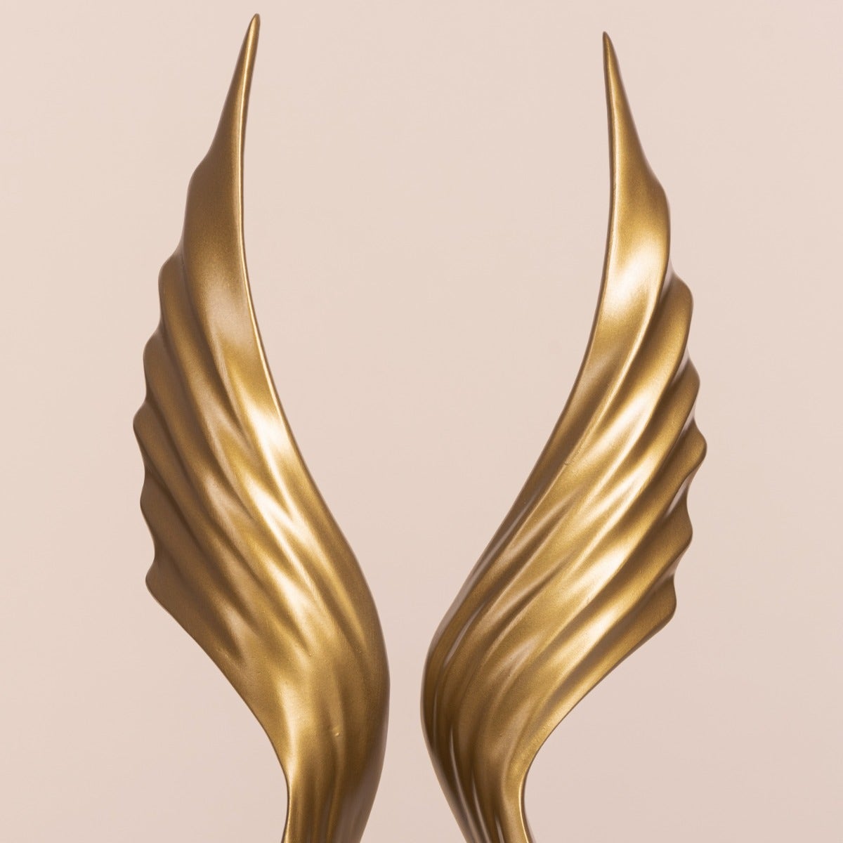 Fashion Focus Home Decor