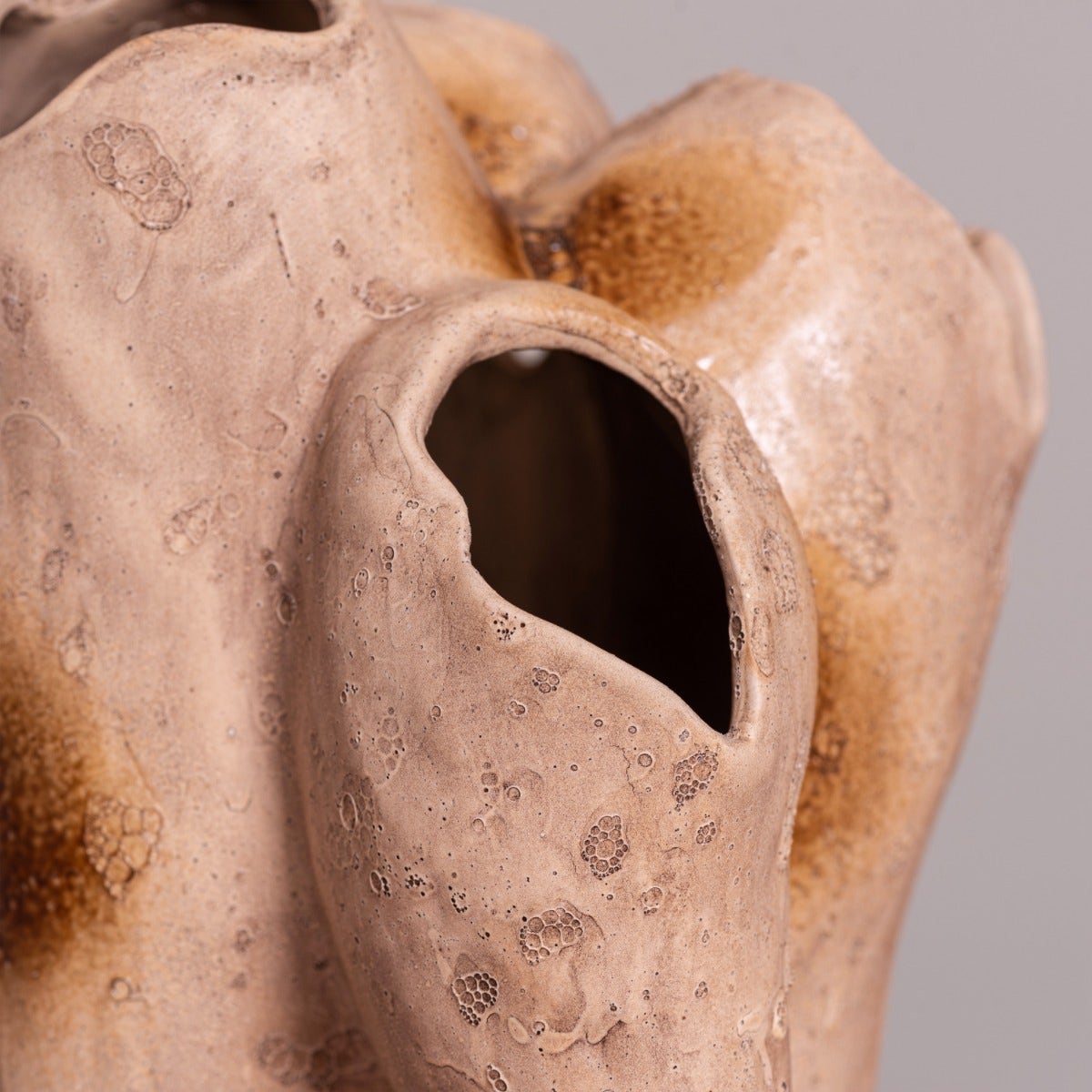 Lost World (Brown) Home Decor