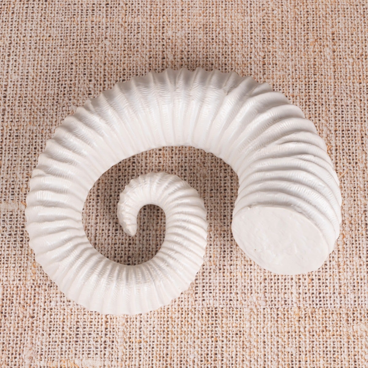 Snails Pace (White) Ceramic Home Decor