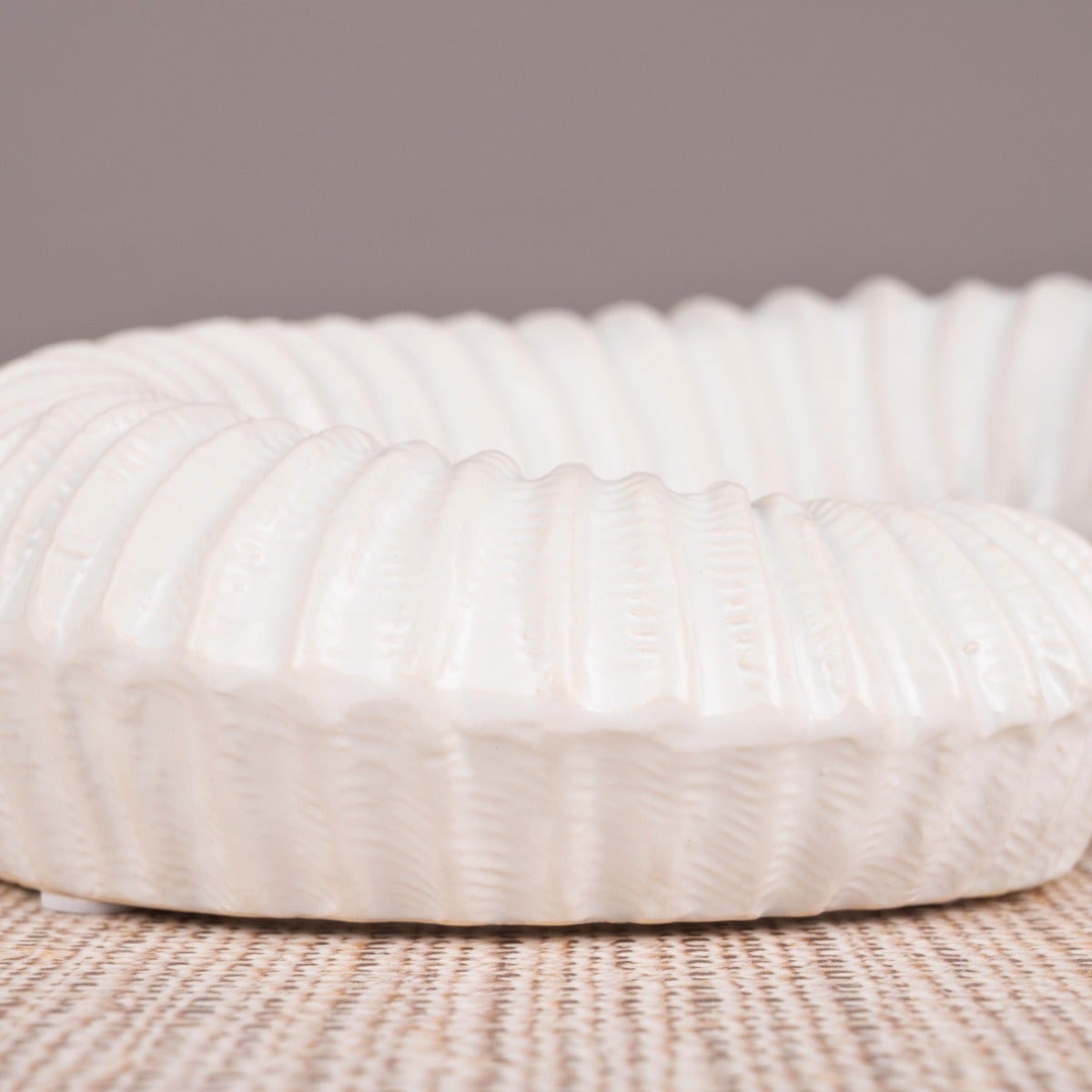Snails Pace (White) Ceramic Home Decor