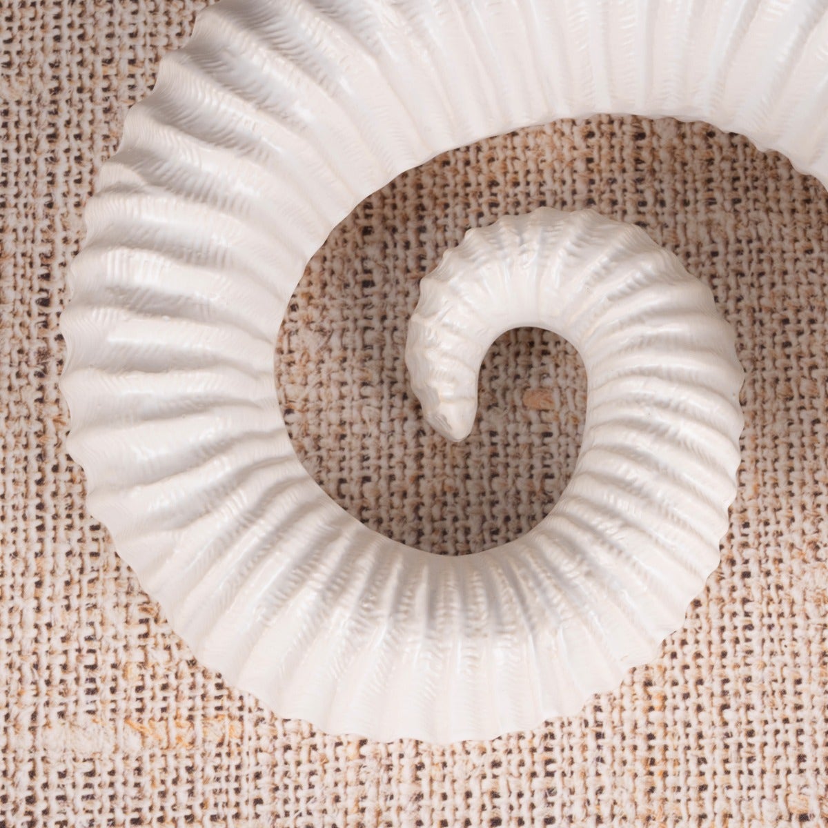 Snails Pace (White) Ceramic Home Decor