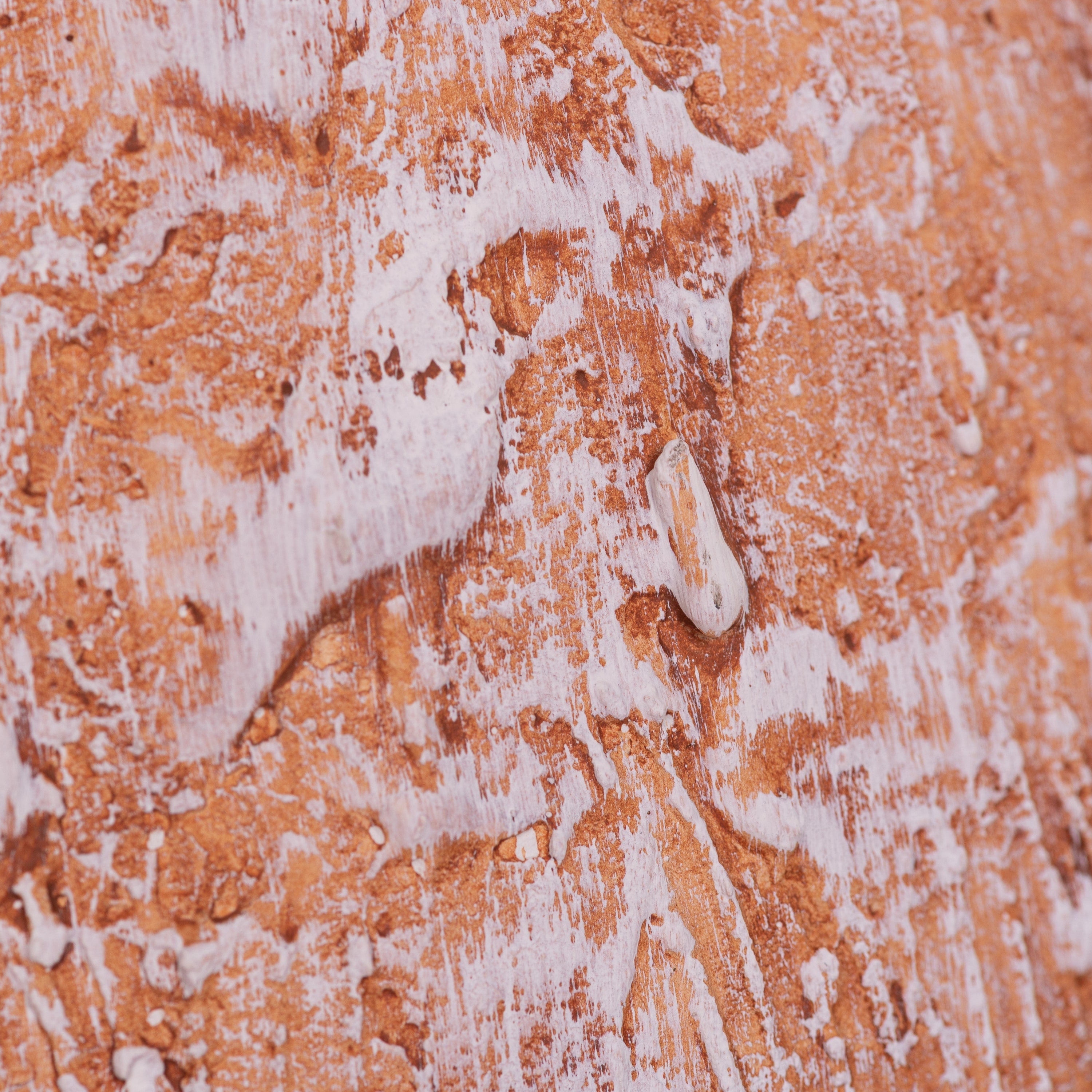 Daffodil Blossom (Orange, White) Ceramic Vase