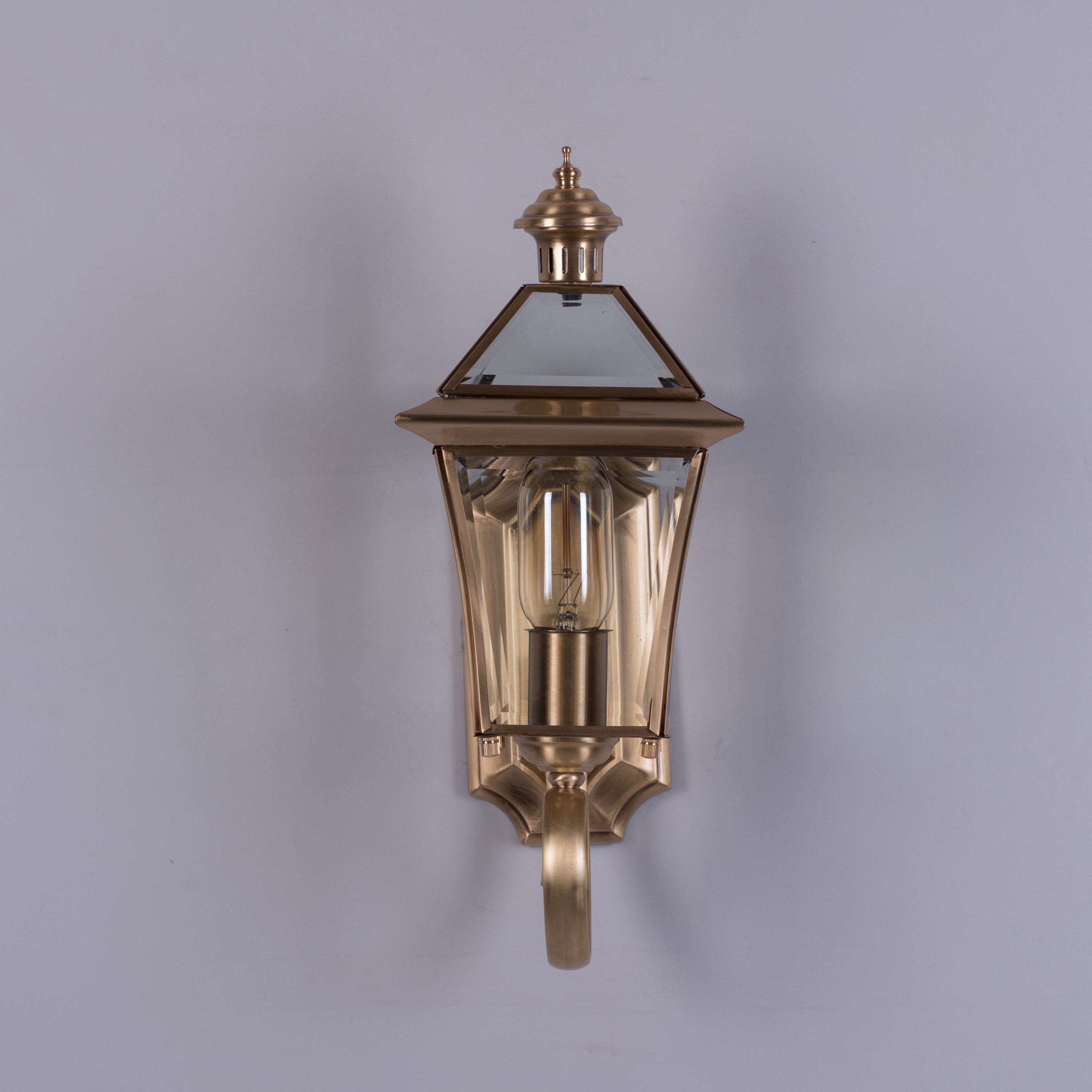 Moth To A Flame (Copper) Indoor Shade Area Wall Light