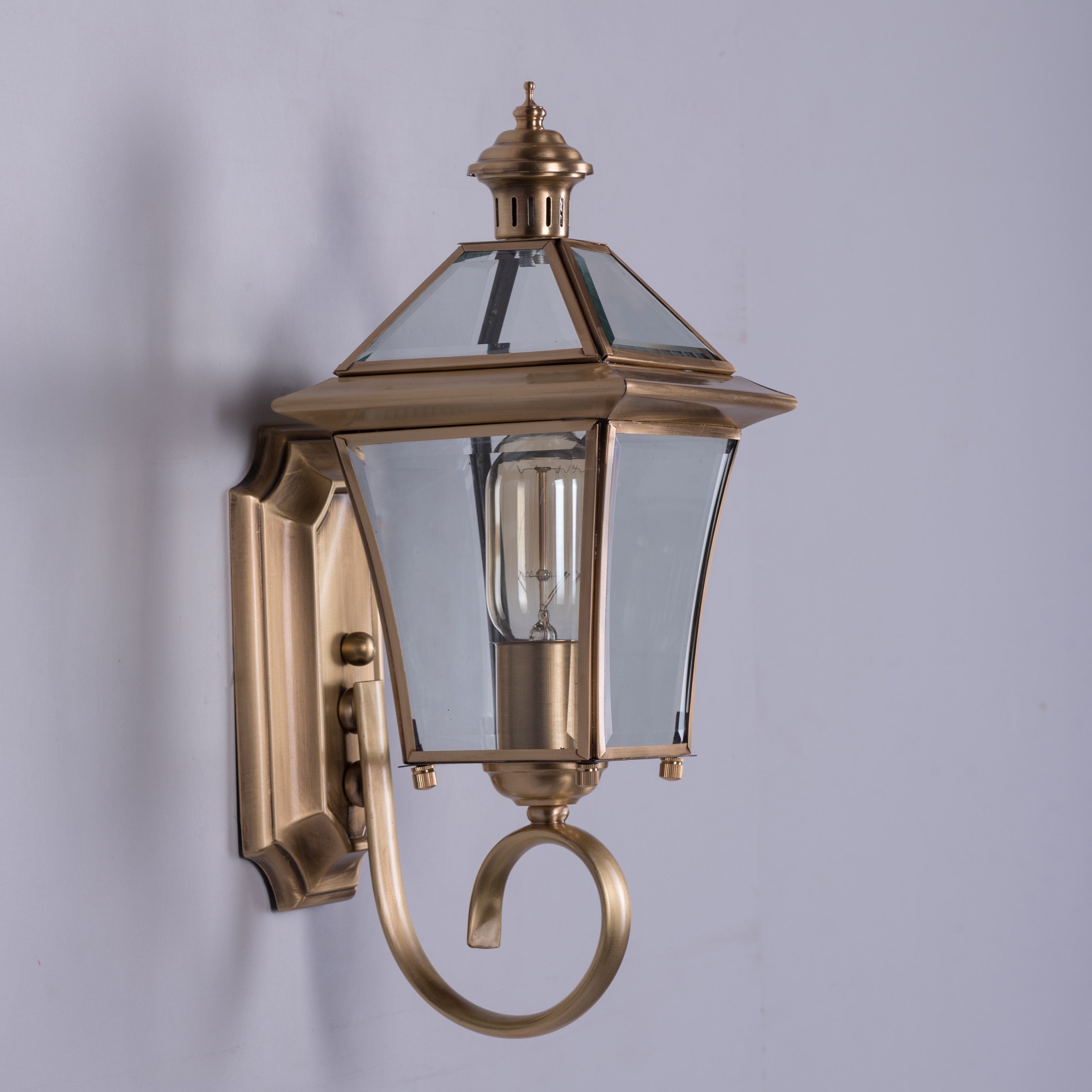 Moth To A Flame (Copper) Indoor Shade Area Wall Light