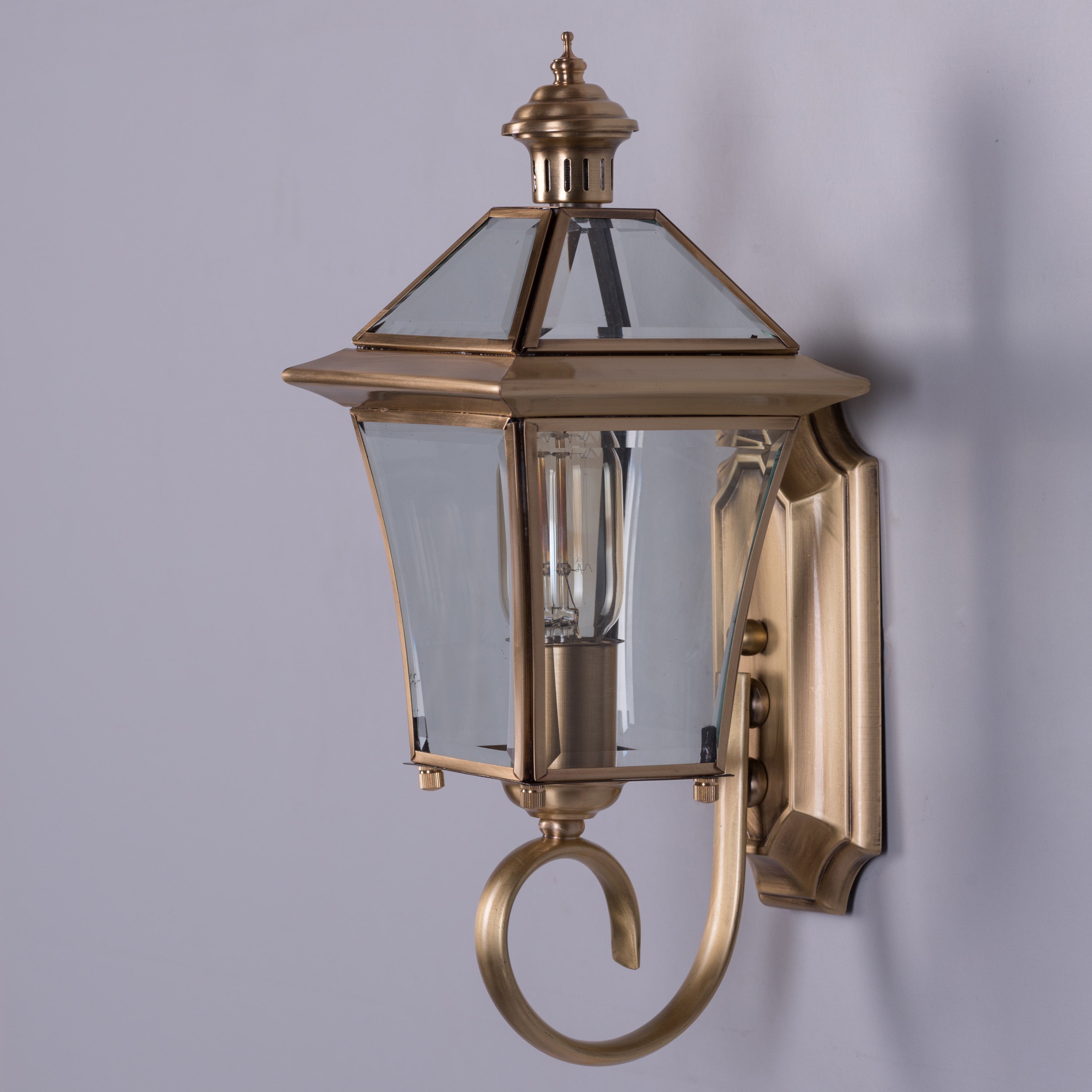 Moth To A Flame (Copper) Indoor Shade Area Wall Light