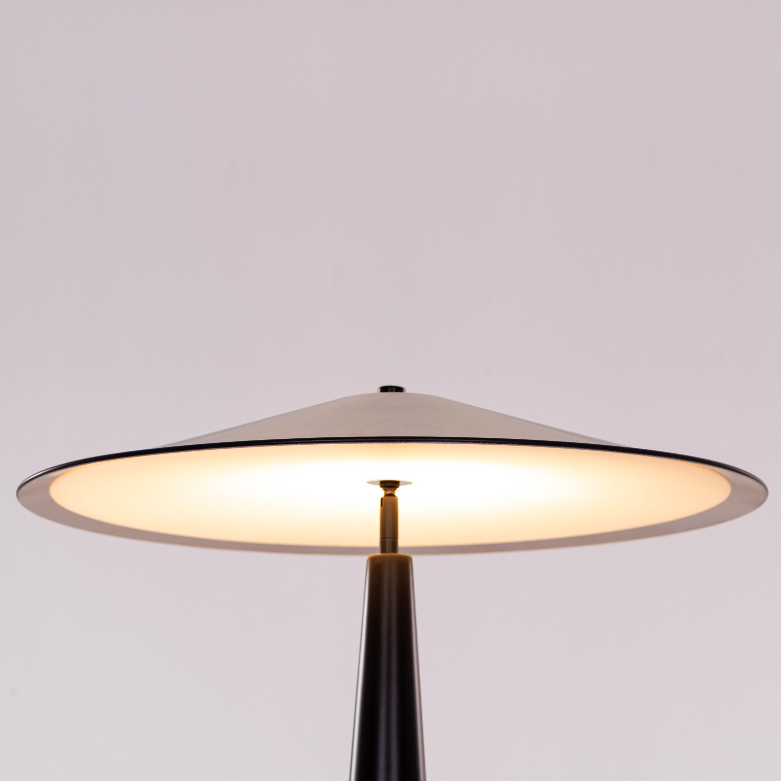 Can't Quit Me (Black) Built-In LED Floor Lamp