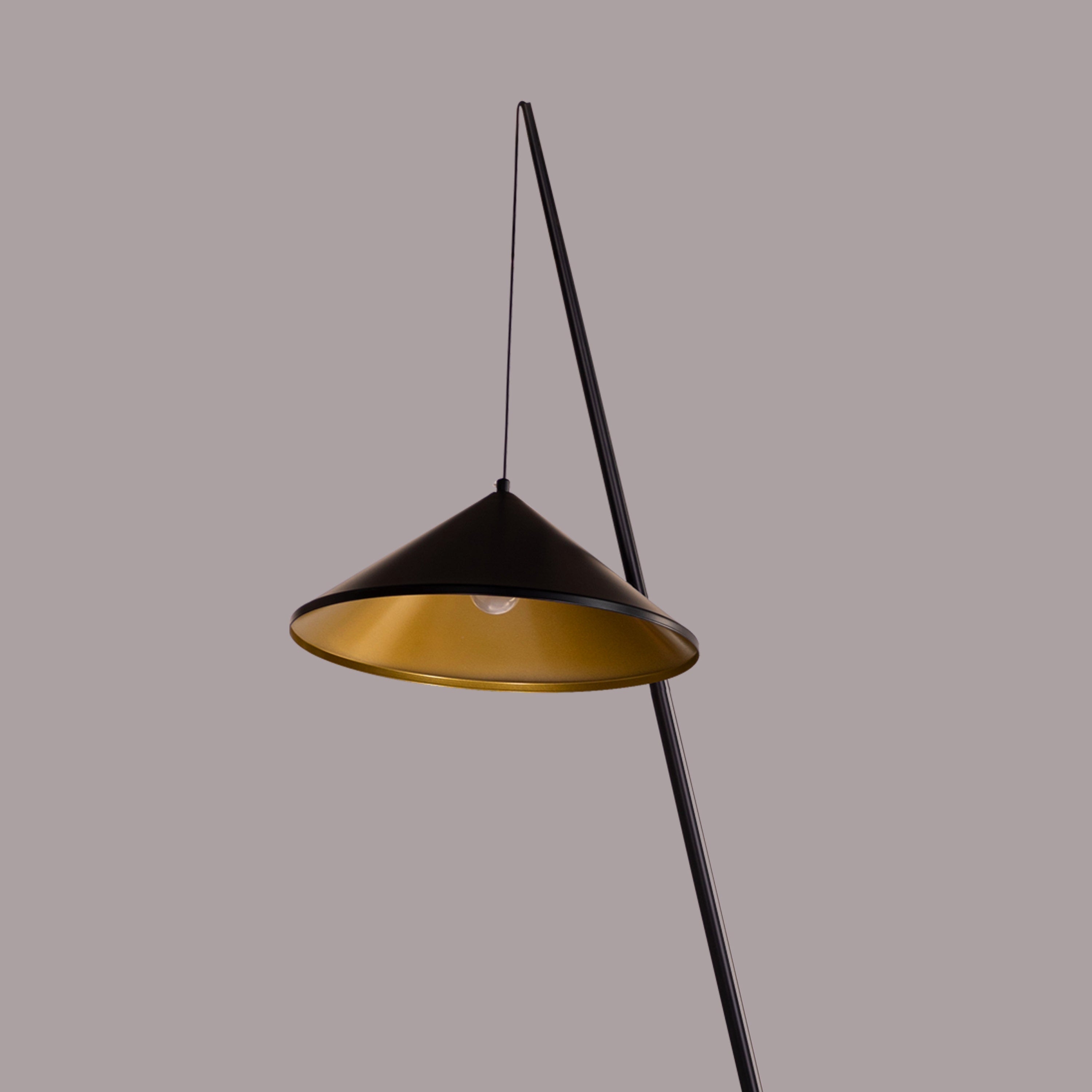 Around The Fire (Black) Floor Lamp