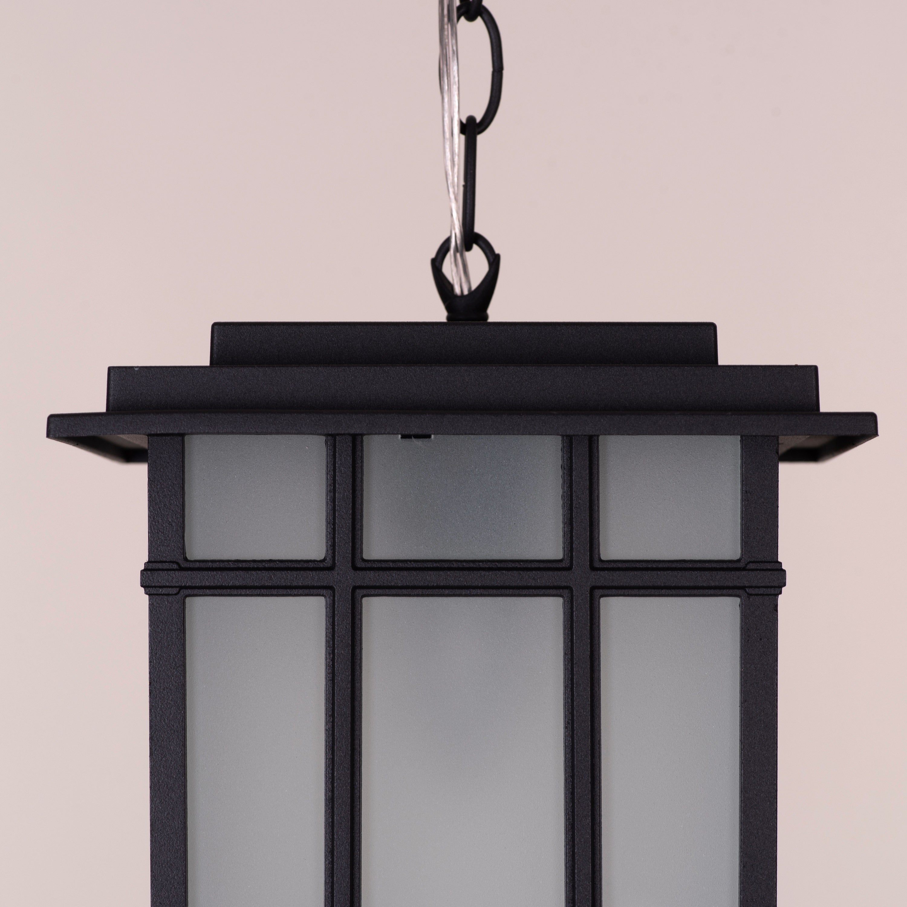 Looking Away (Black) Outdoor Pendant Light