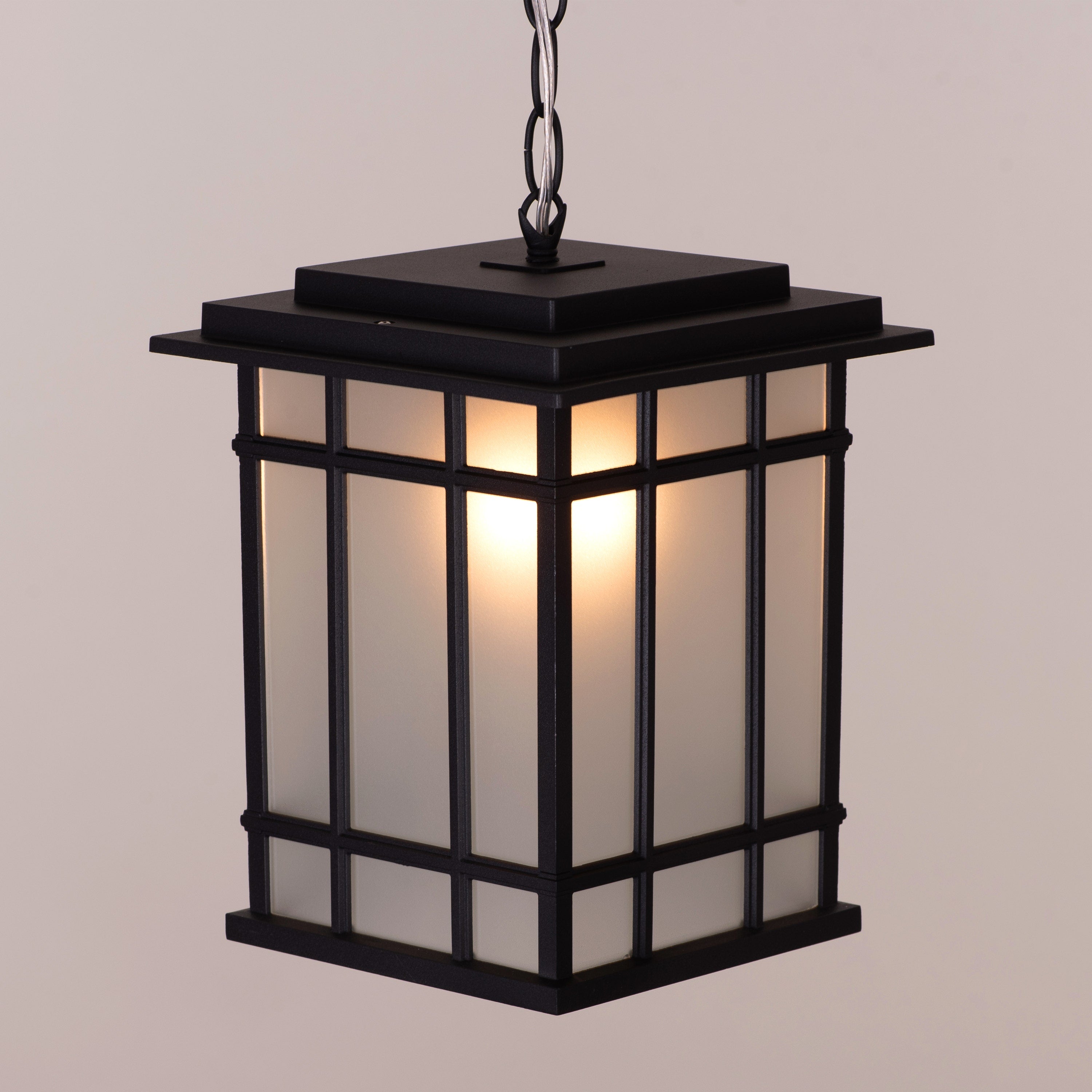 Looking Away (Black) Outdoor Pendant Light