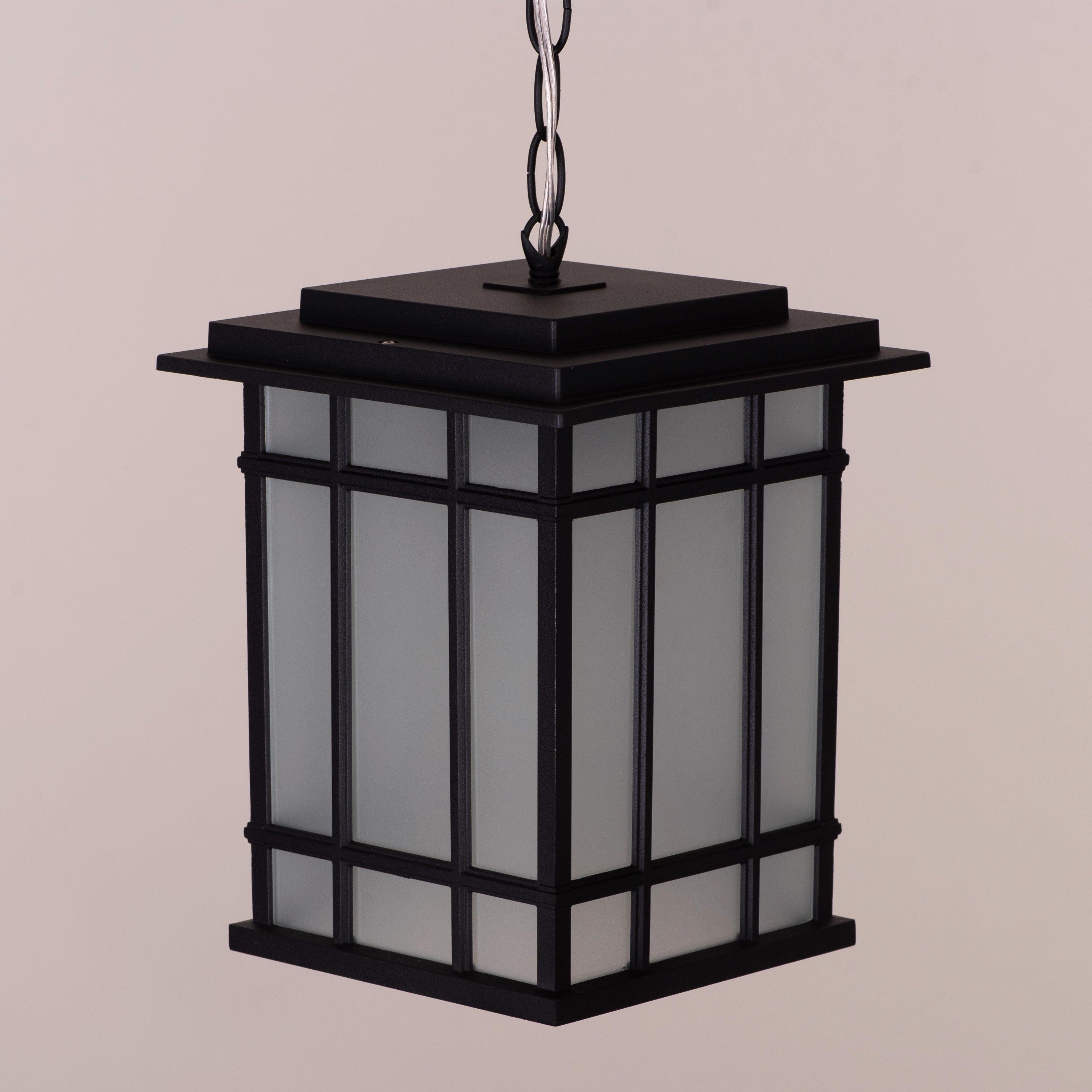 Looking Away (Black) Outdoor Pendant Light