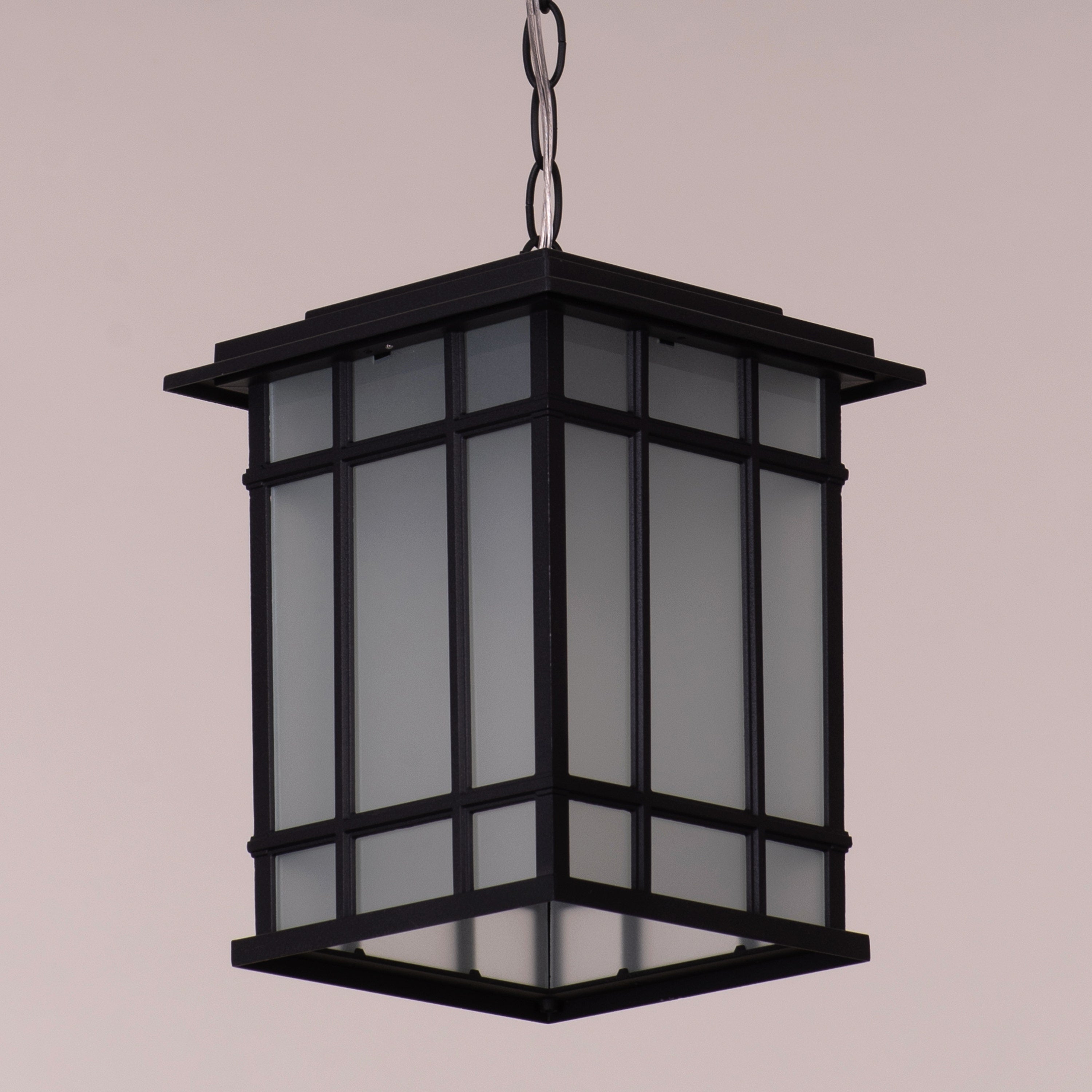 Looking Away (Black) Outdoor Pendant Light