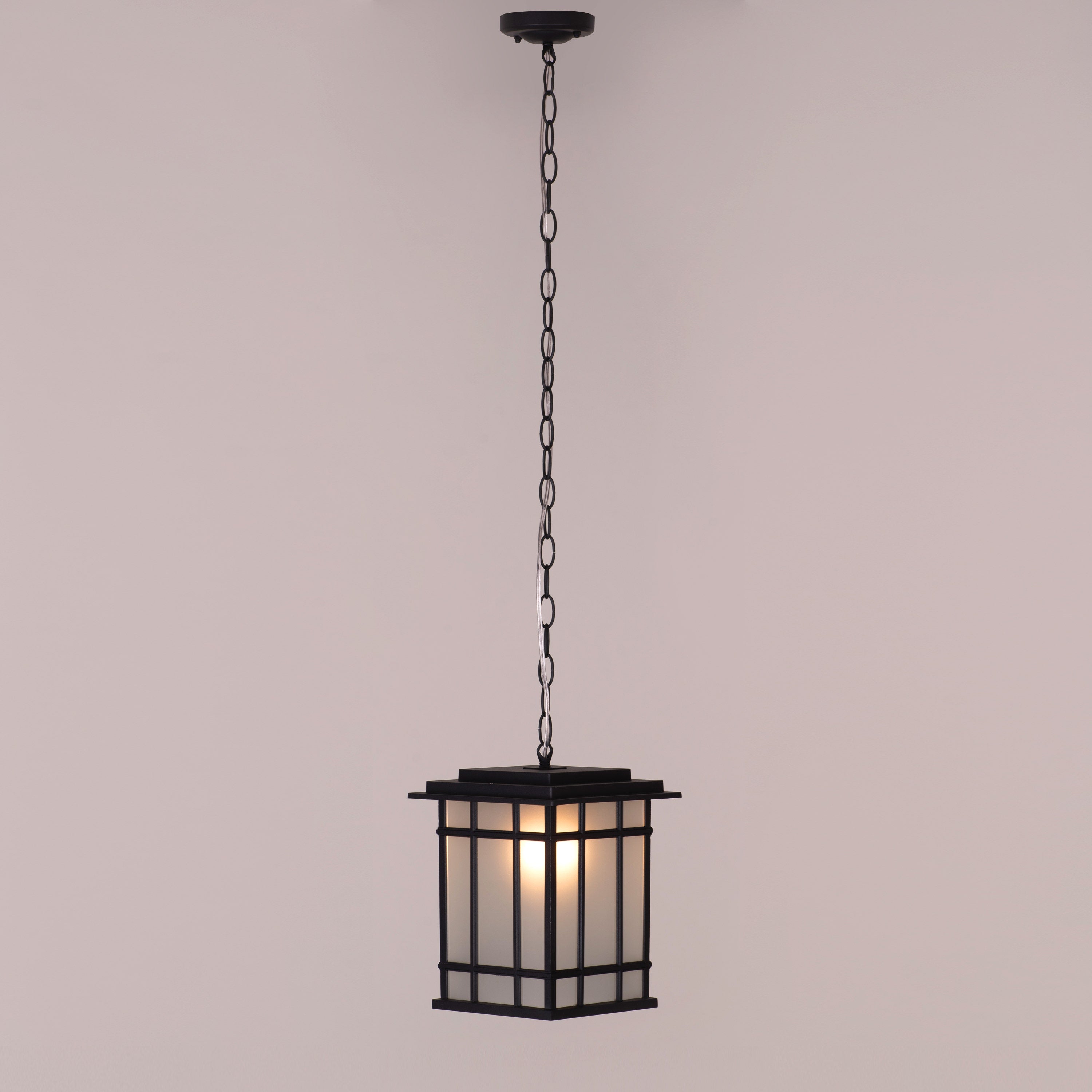 Looking Away (Black) Outdoor Pendant Light