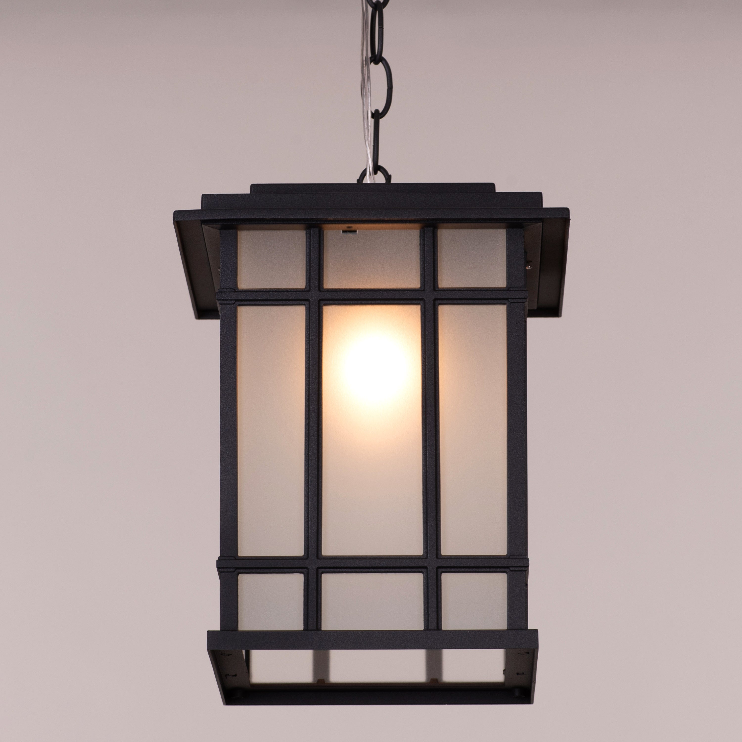 Looking Away (Black) Outdoor Pendant Light