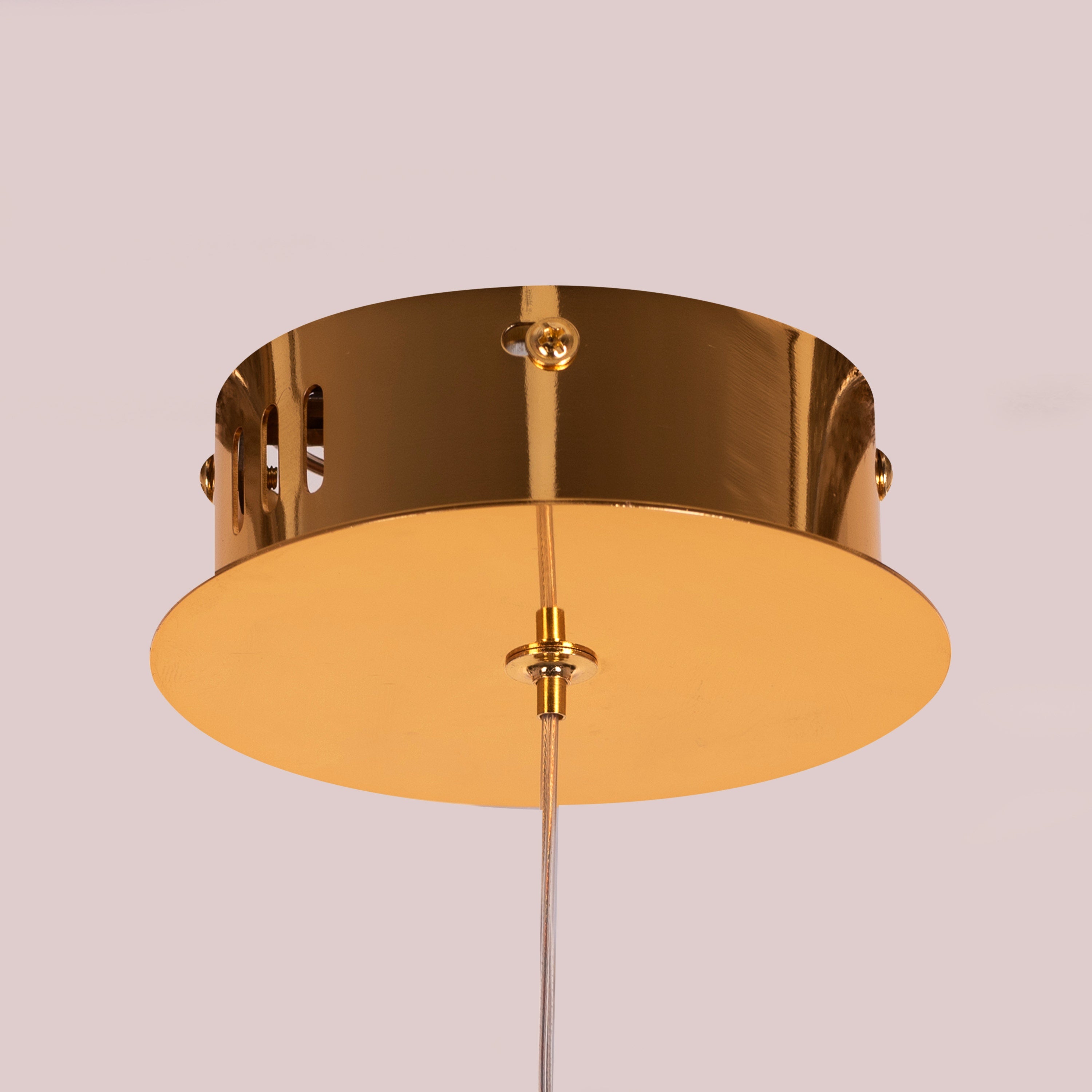 Tropical Treat (Gold, Built-In LED) Glass Pendant Light