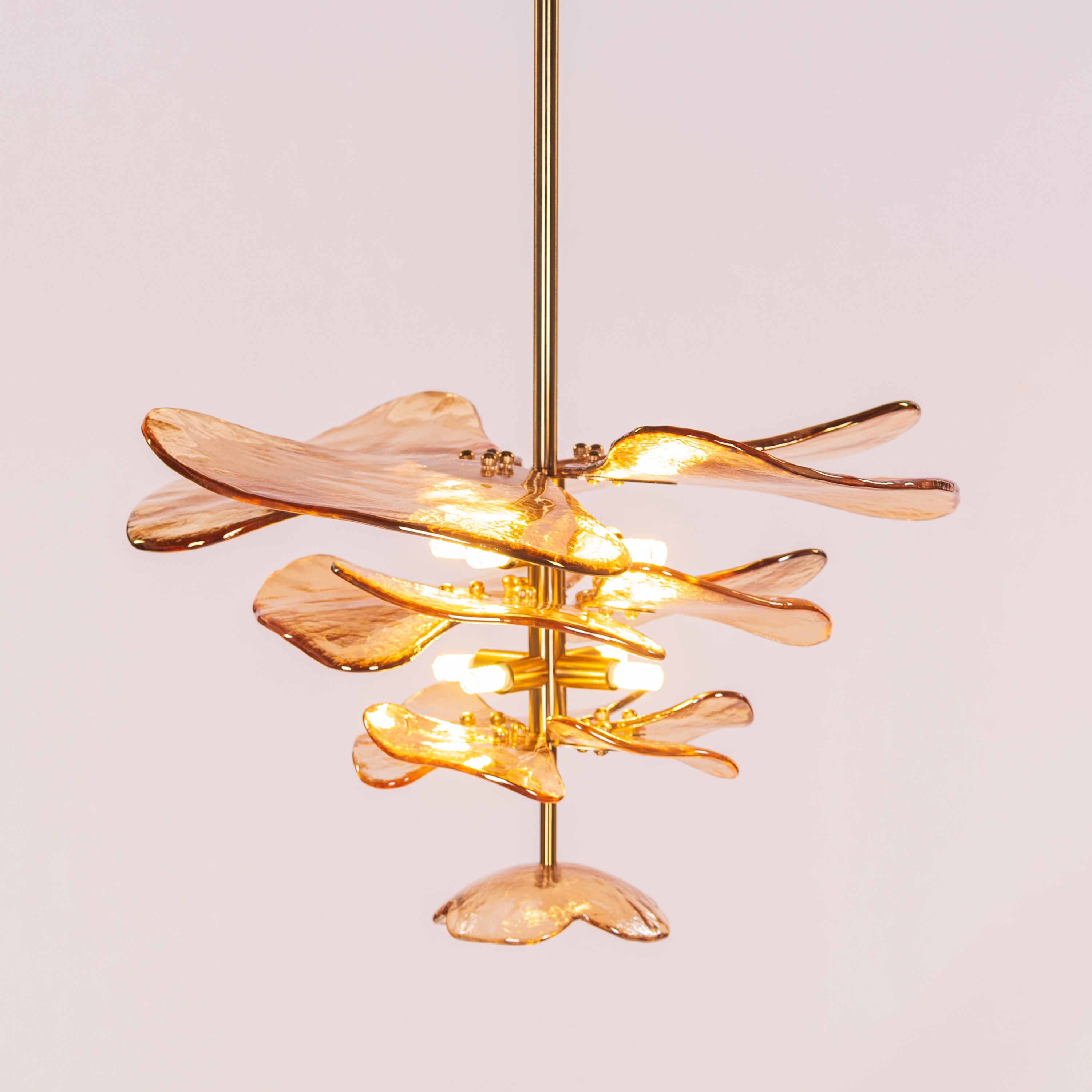 Luminous Lotus (Gold, Amber) Tinted Glass Pendant Light