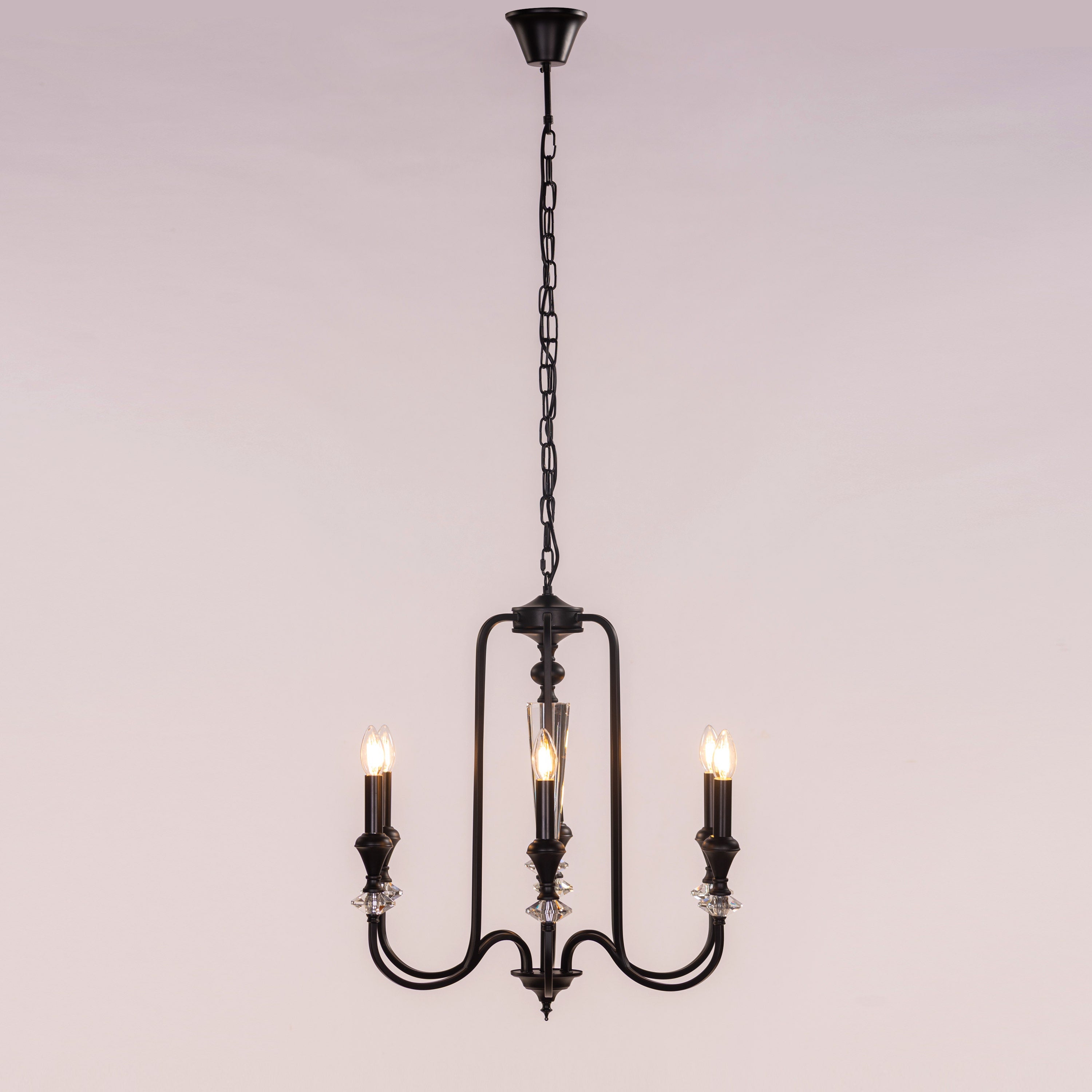 Prone To Cling (Black) Crystal Chandelier