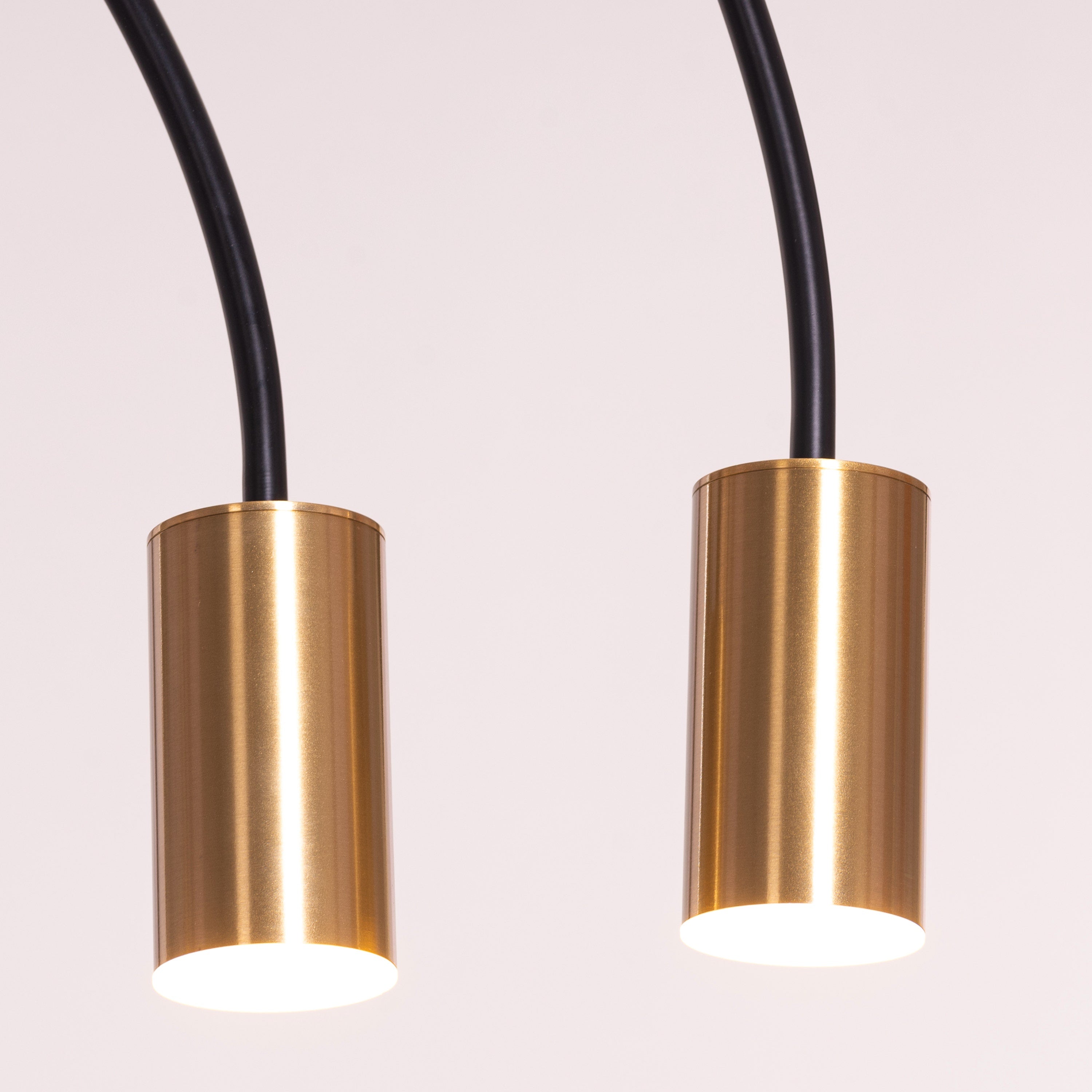 New Season (Black, Gold, Built-In LED) Pendant Light