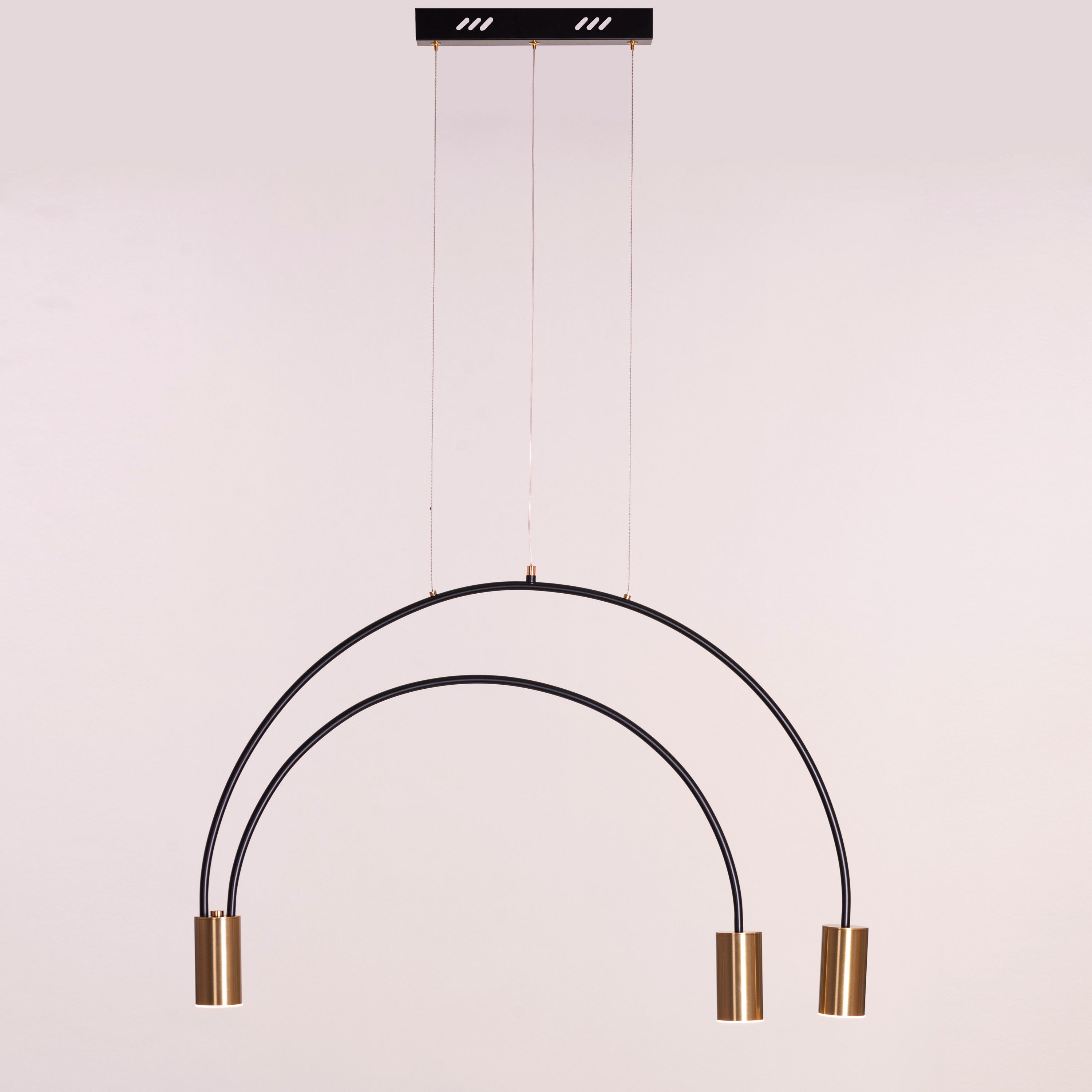 New Season (Black, Gold, Built-In LED) Pendant Light