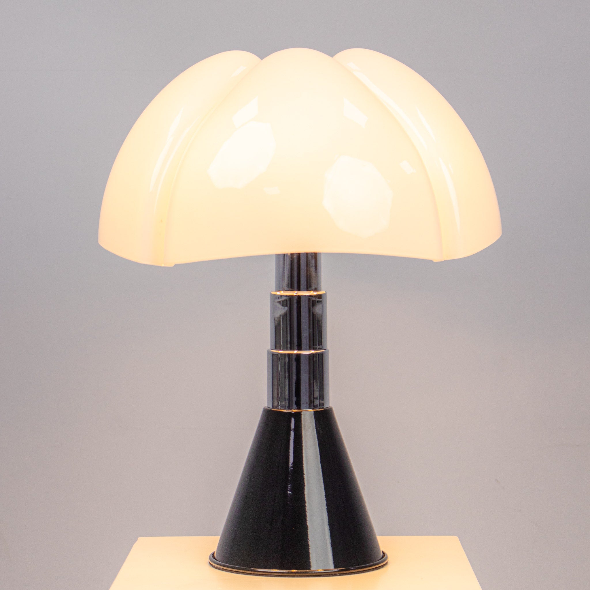 Scallop Shell (Black) Table Lamp