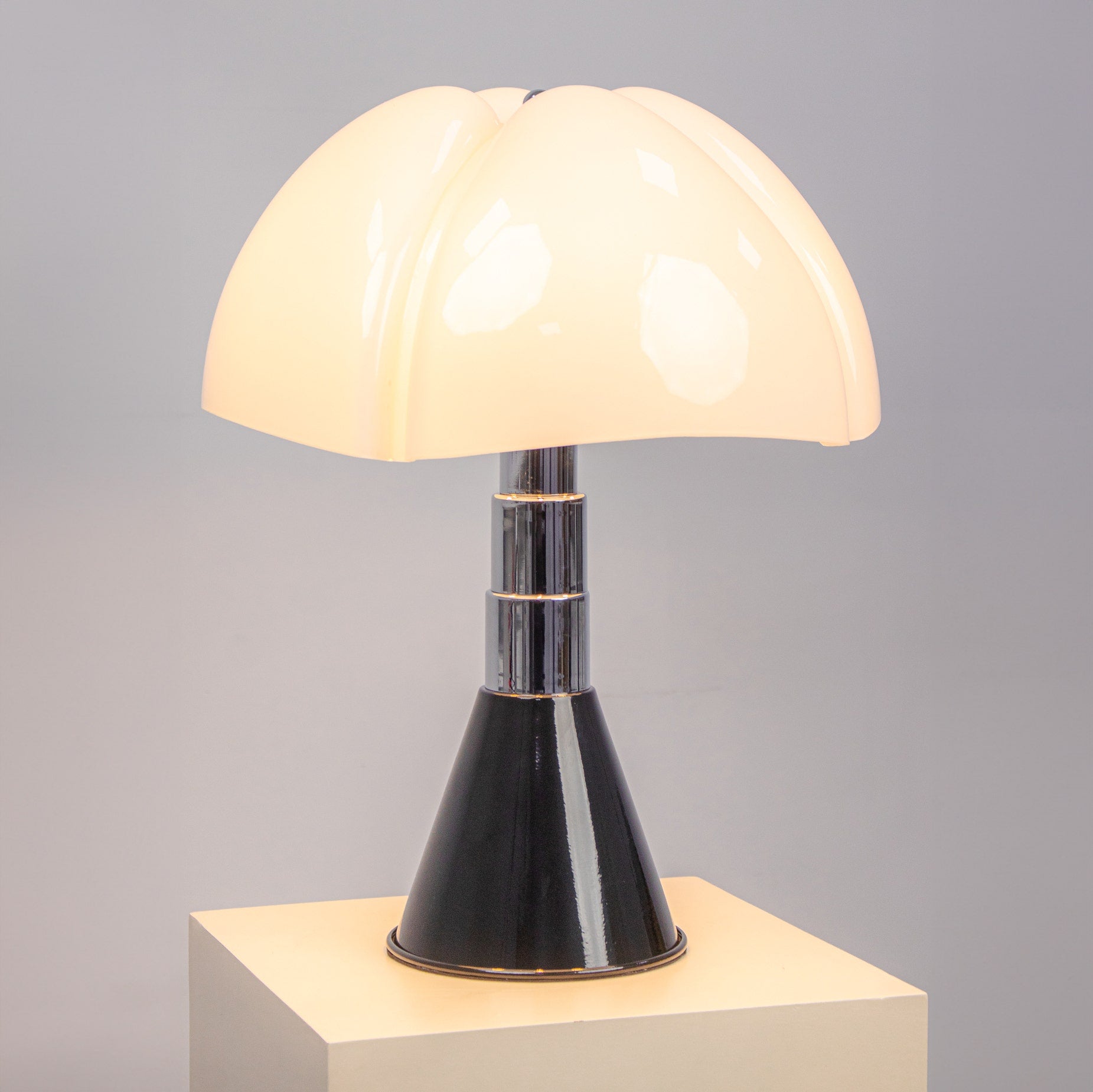 Scallop Shell (Black) Table Lamp