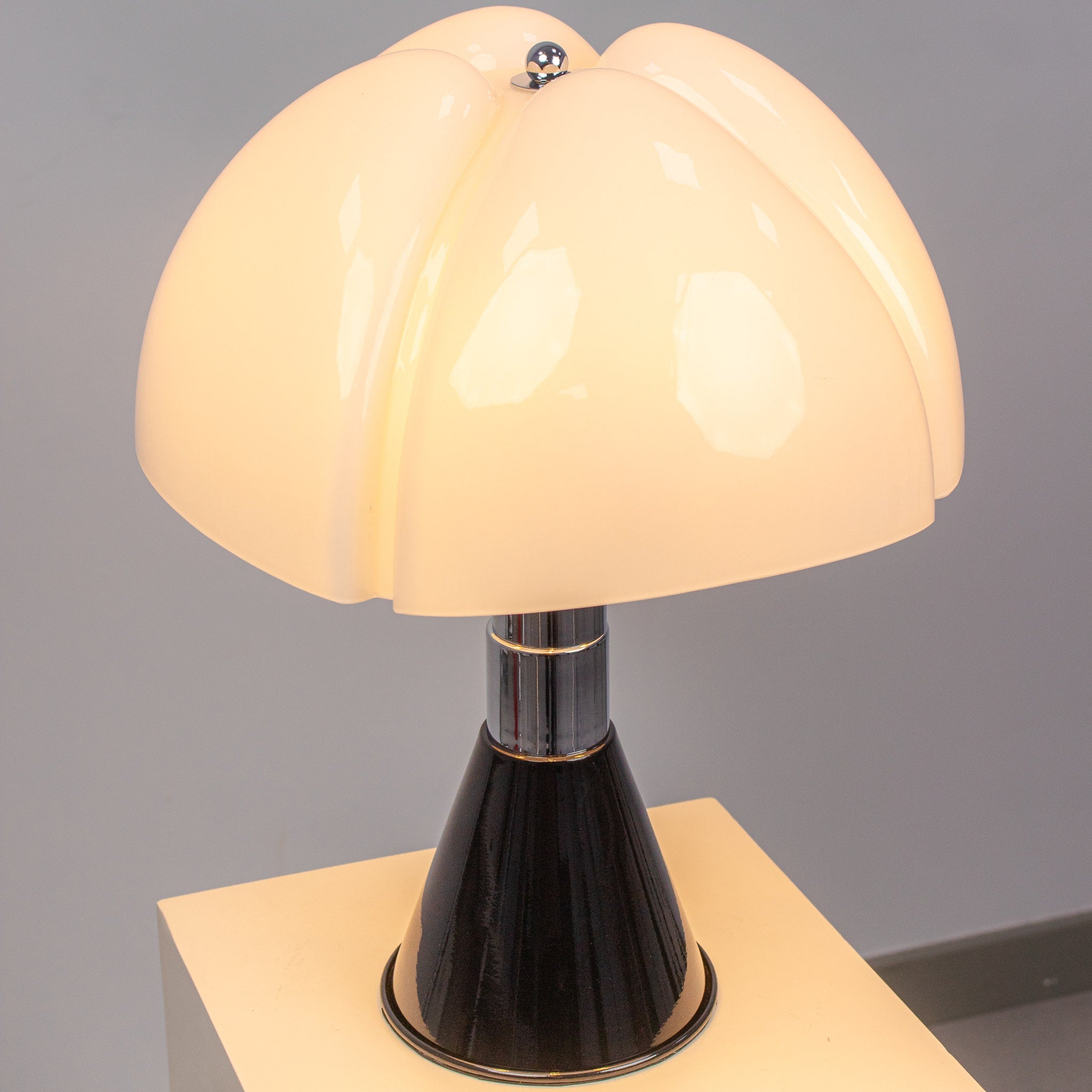 Scallop Shell (Black) Table Lamp
