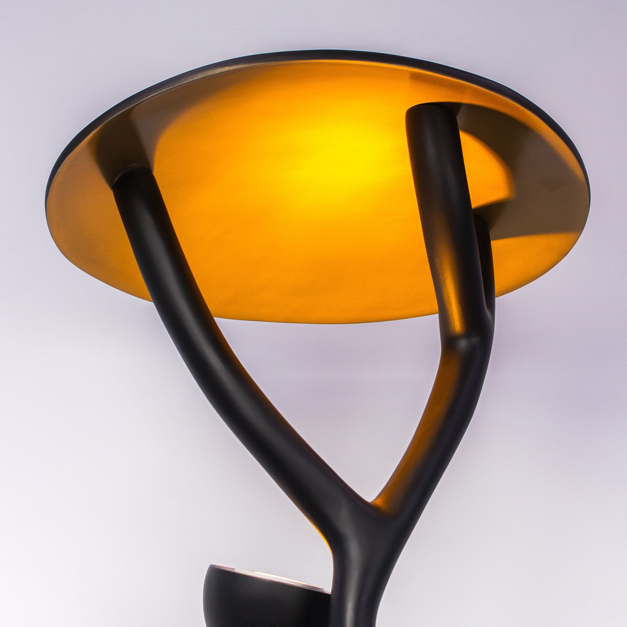 Fortune Favors The Bold Floor Lamp