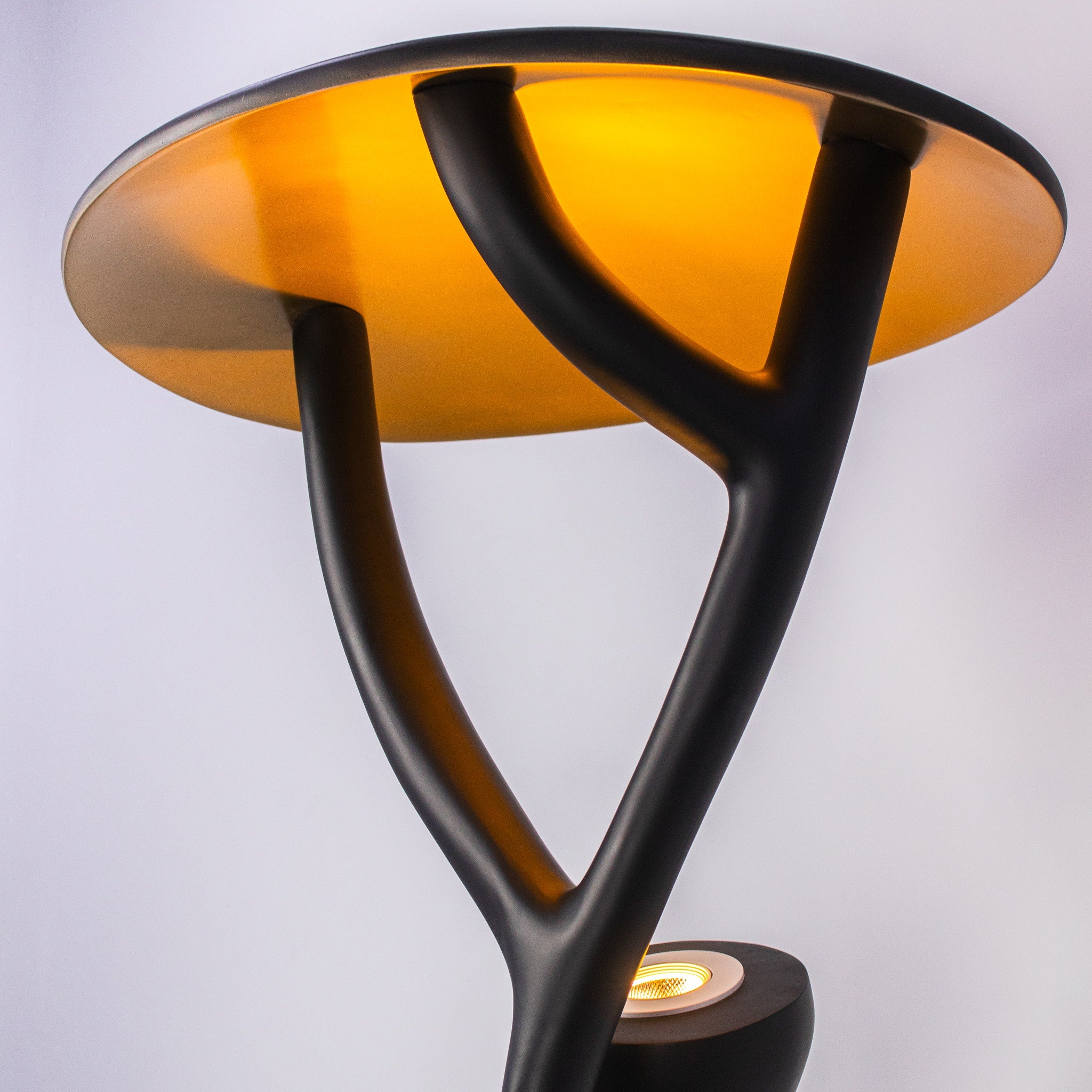 Fortune Favors The Bold Floor Lamp