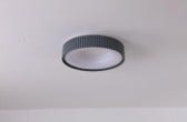 Ellipse Ceiling Light