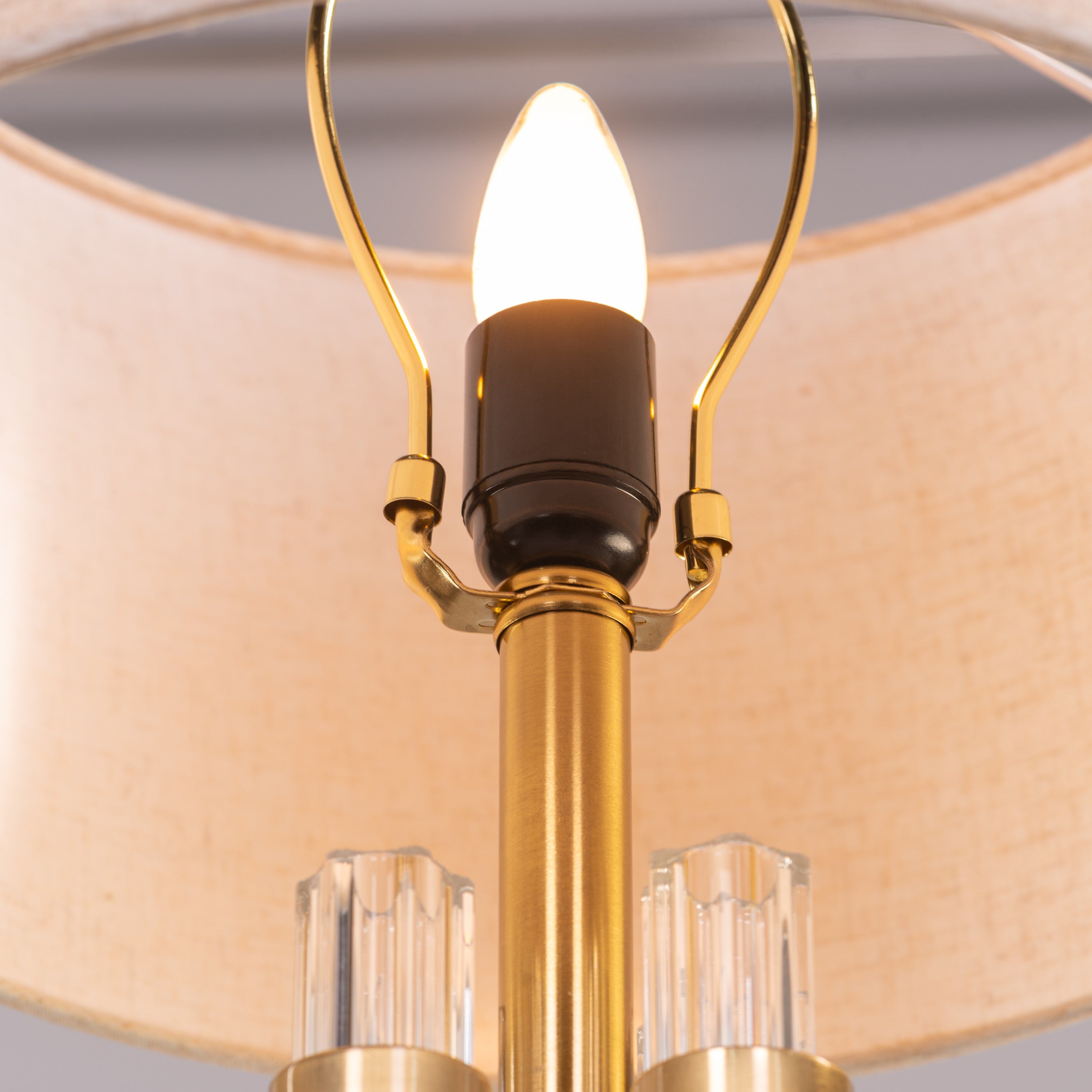 Shine Bright (Gold, Brown) Table Lamp