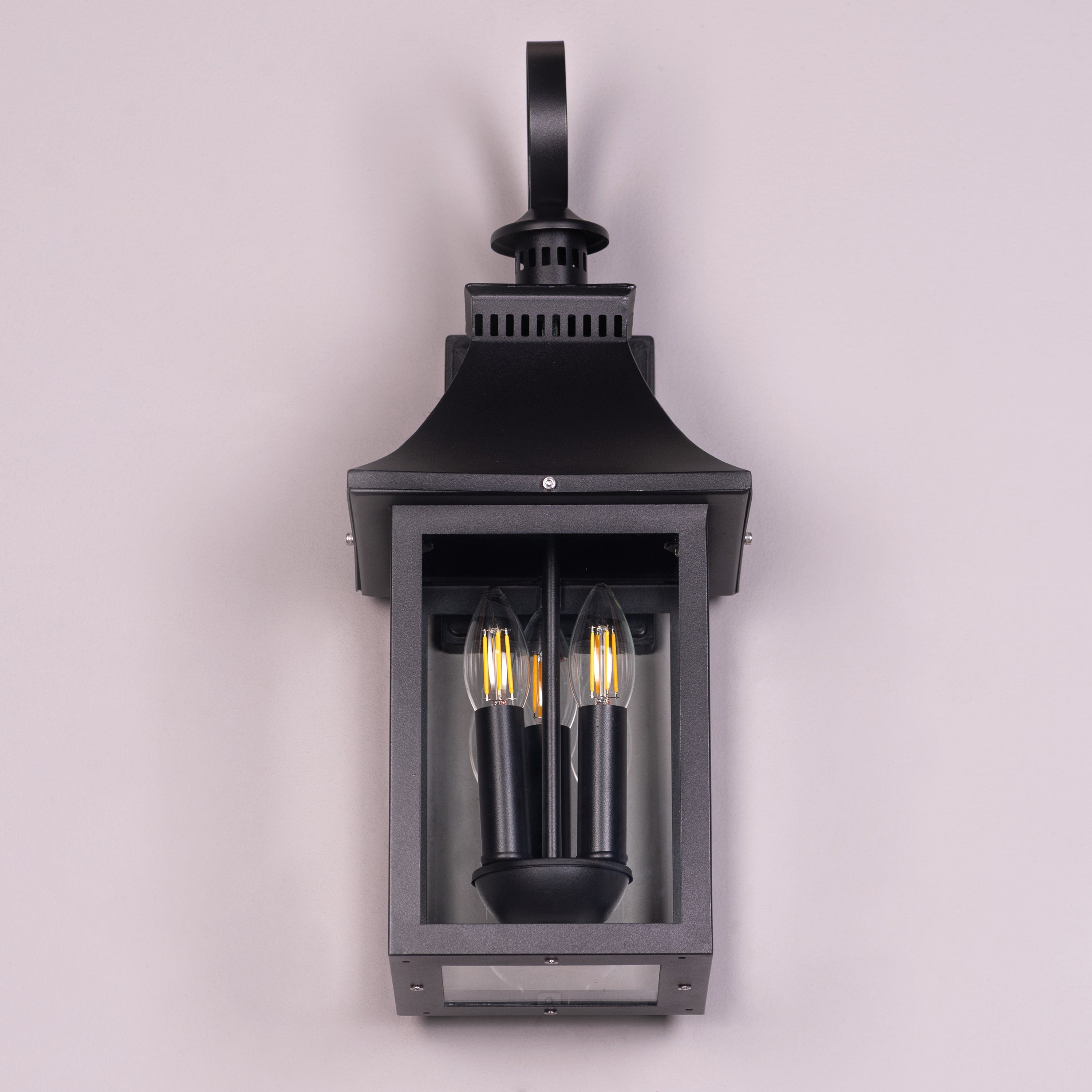 Good For You (Black) Clear Glass Wall Light