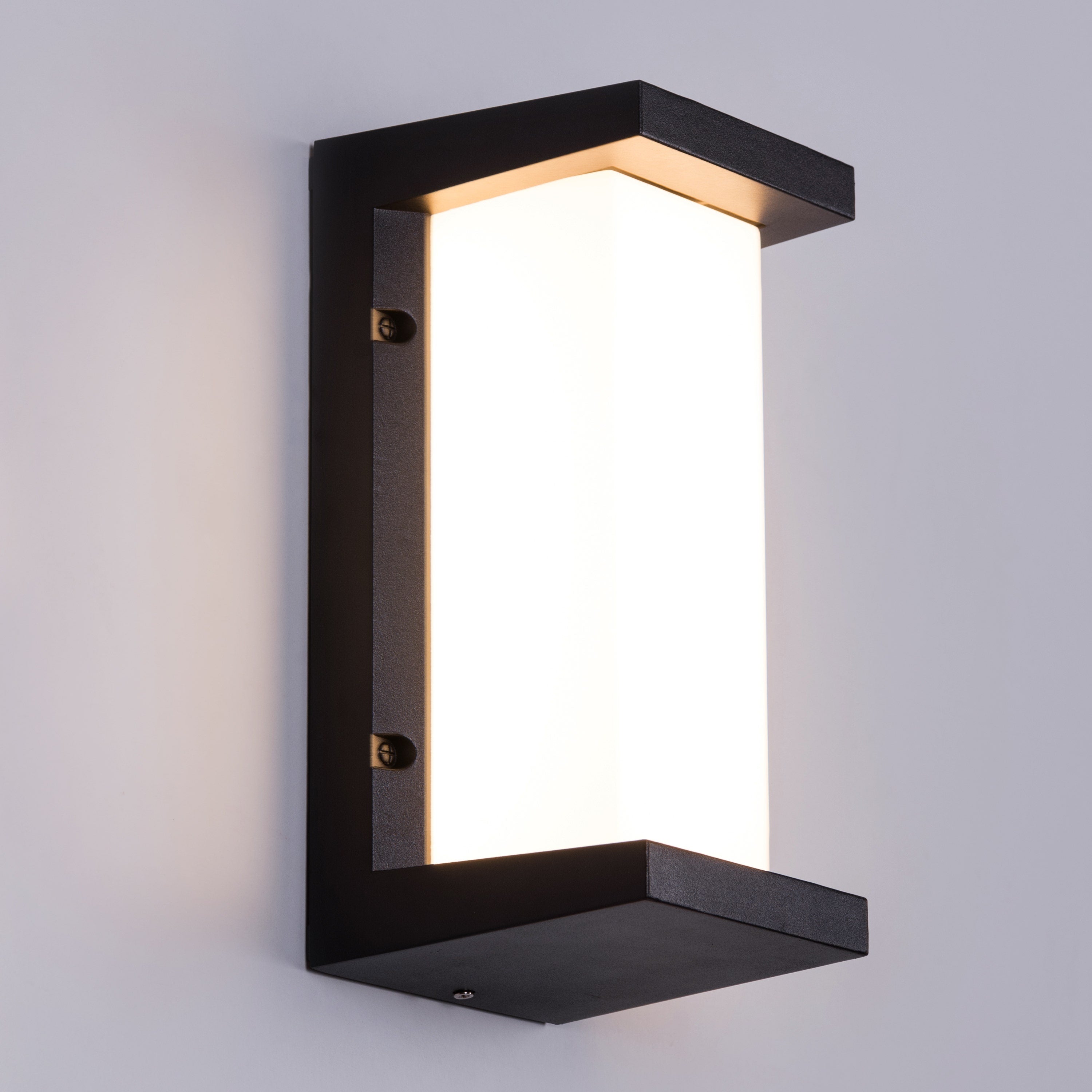 Come Alive (Big, Black, LED) Outdoor Wall Light