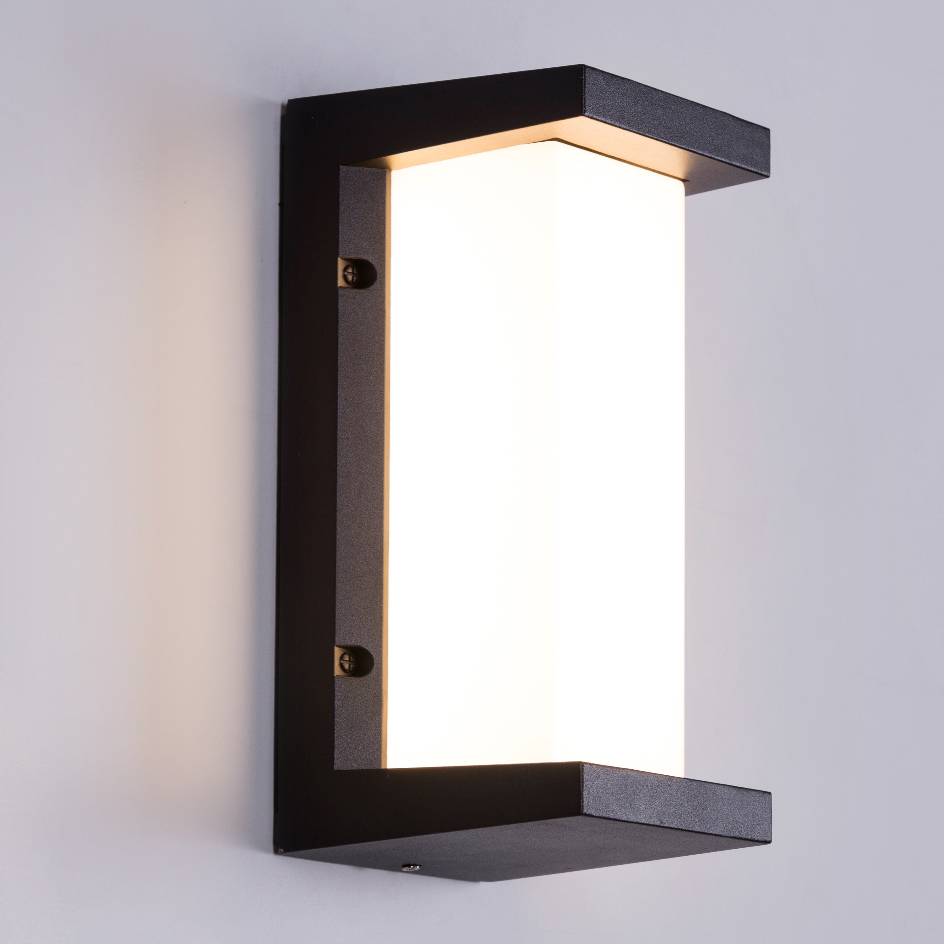 Come Alive (Big, Black, LED) Outdoor Wall Light