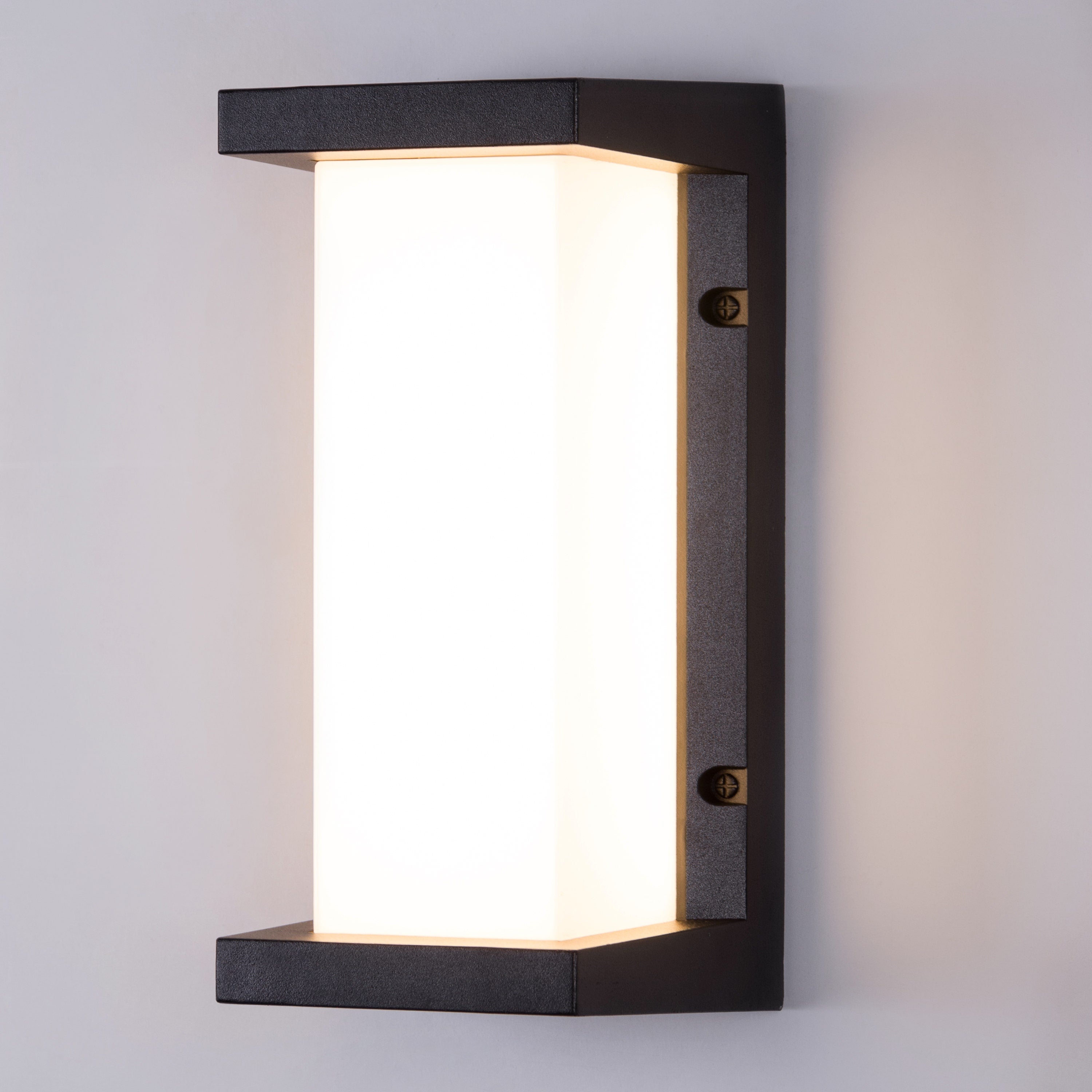 Come Alive (Big, Black, LED) Outdoor Wall Light