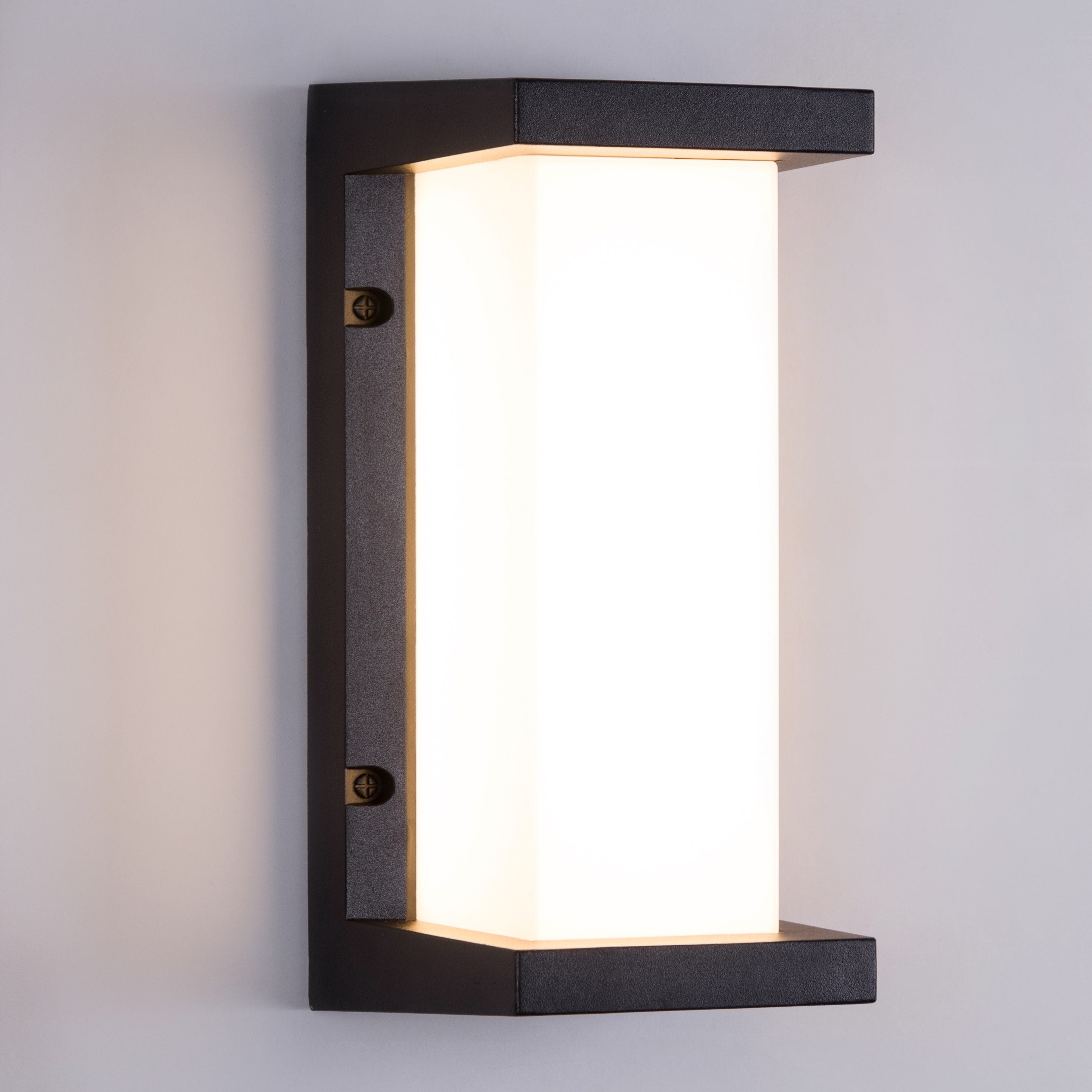 Come Alive (Big, Black, LED) Outdoor Wall Light