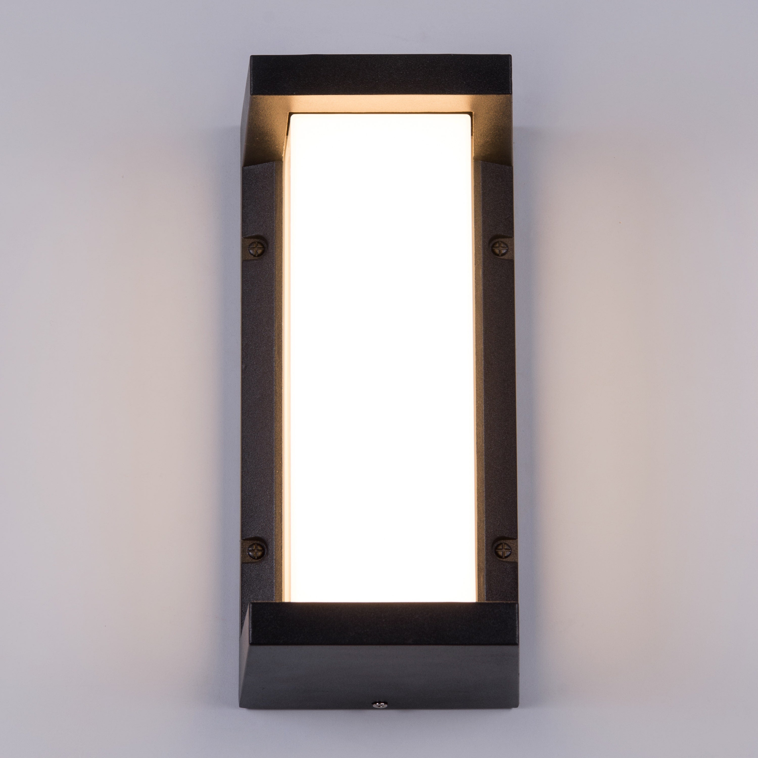 Come Alive (Big, Black, LED) Outdoor Wall Light