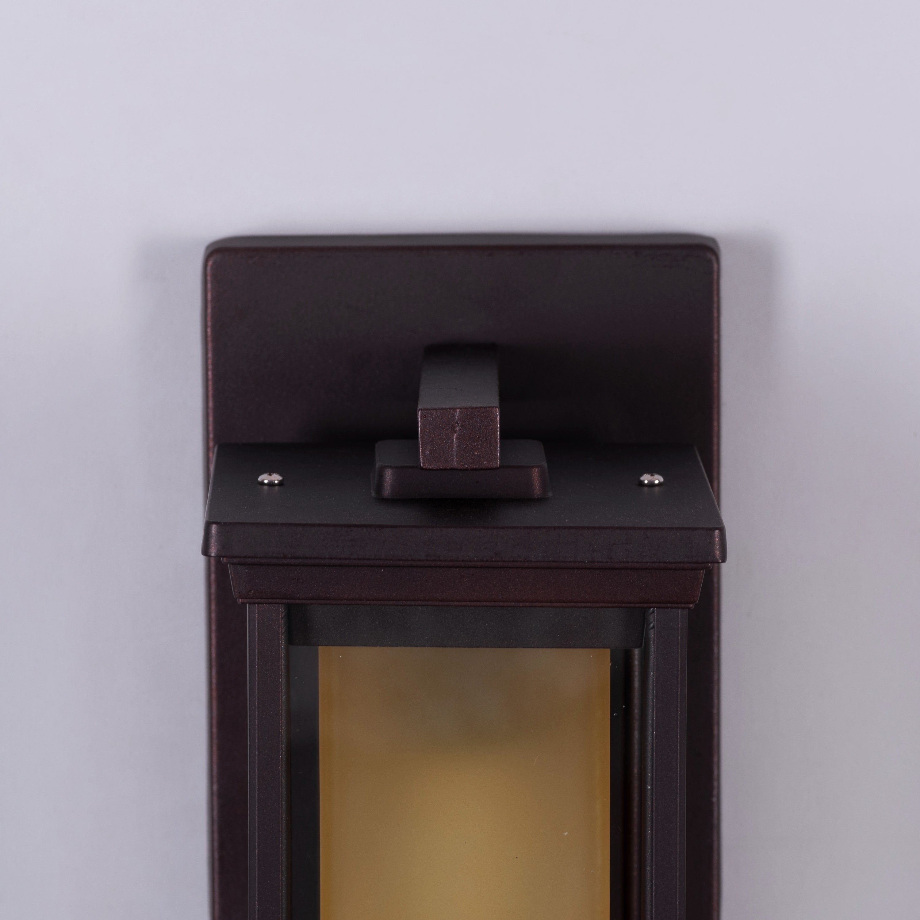 Choose Wisely (Coffee) Indoor / Outdoor Wall Light