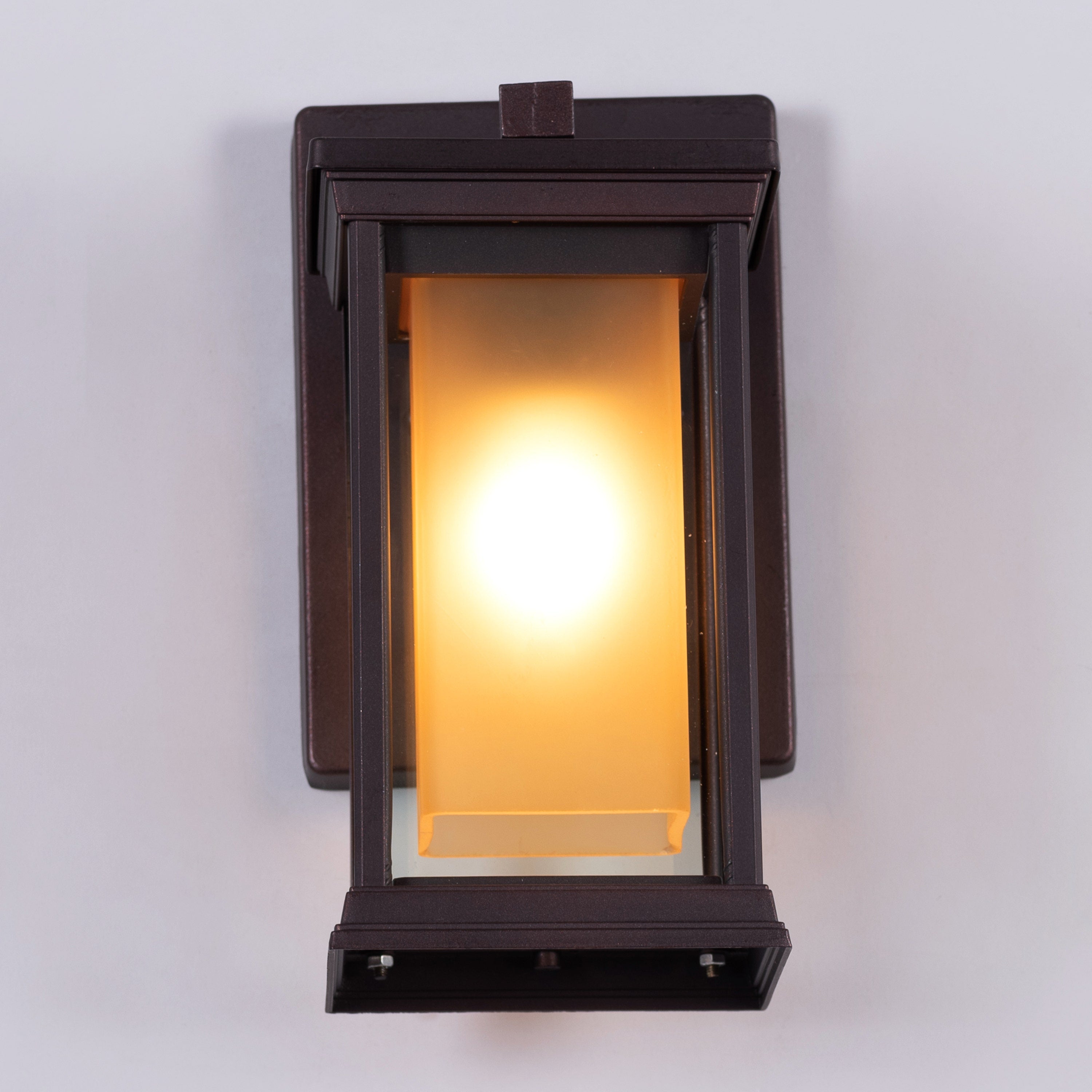 Choose Wisely (Coffee) Indoor / Outdoor Wall Light