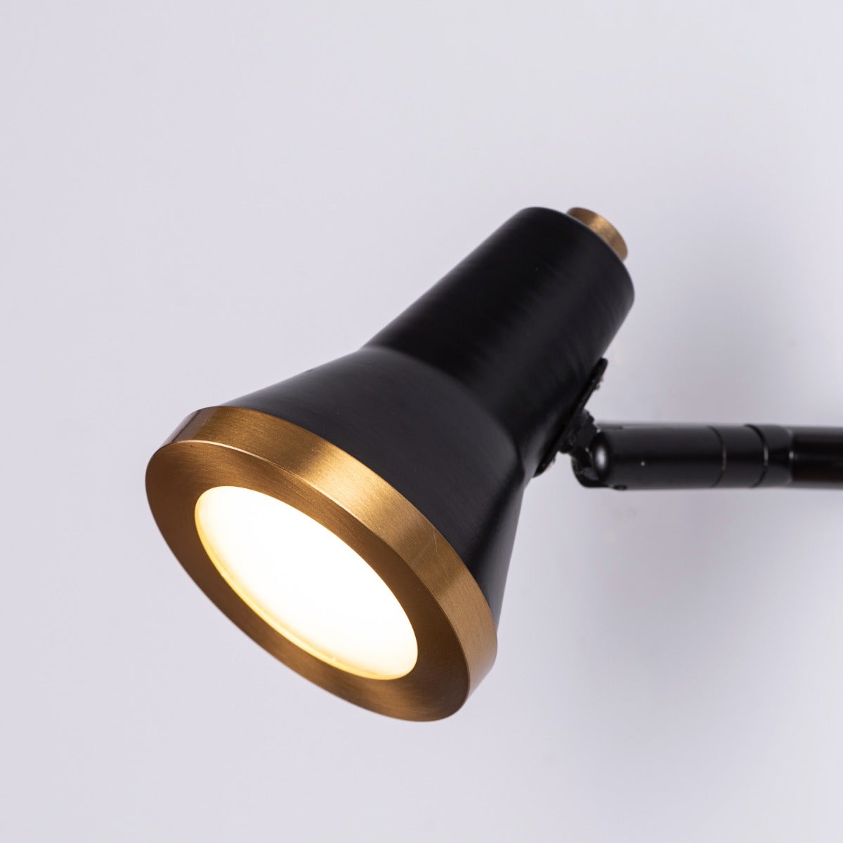 Beautiful Lives (Medium, Black, Built-In LED) Picture Light